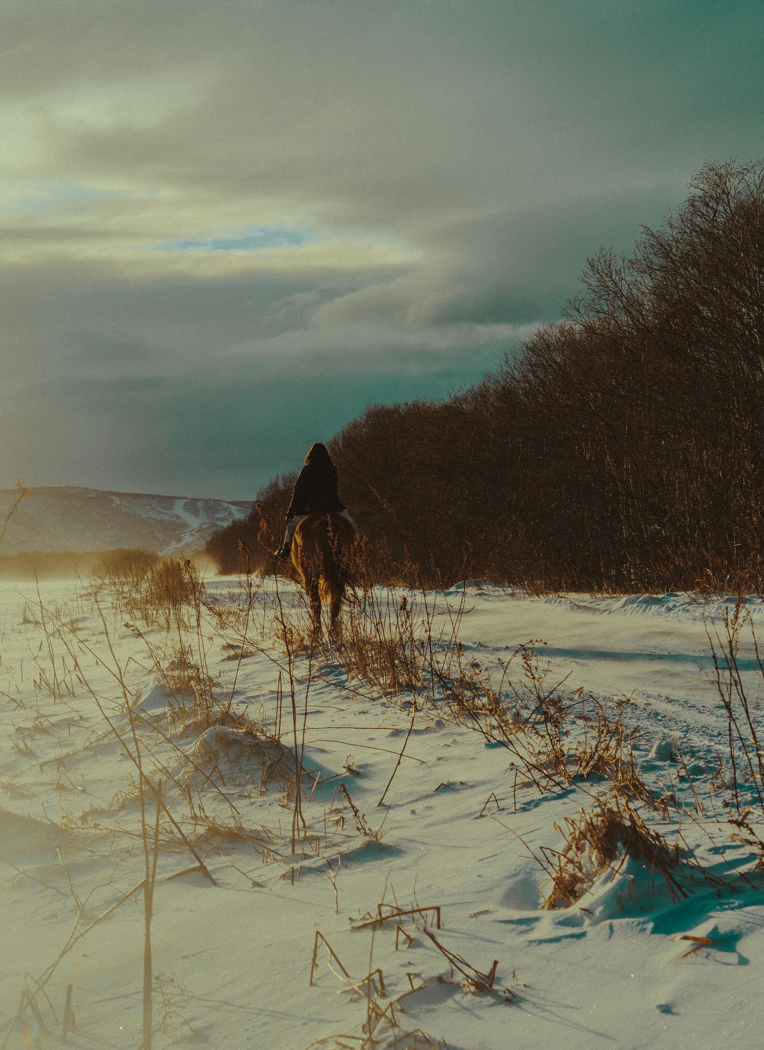АМИНА И АРГОН. Фотограф в Санкт-Петербурге Эллис