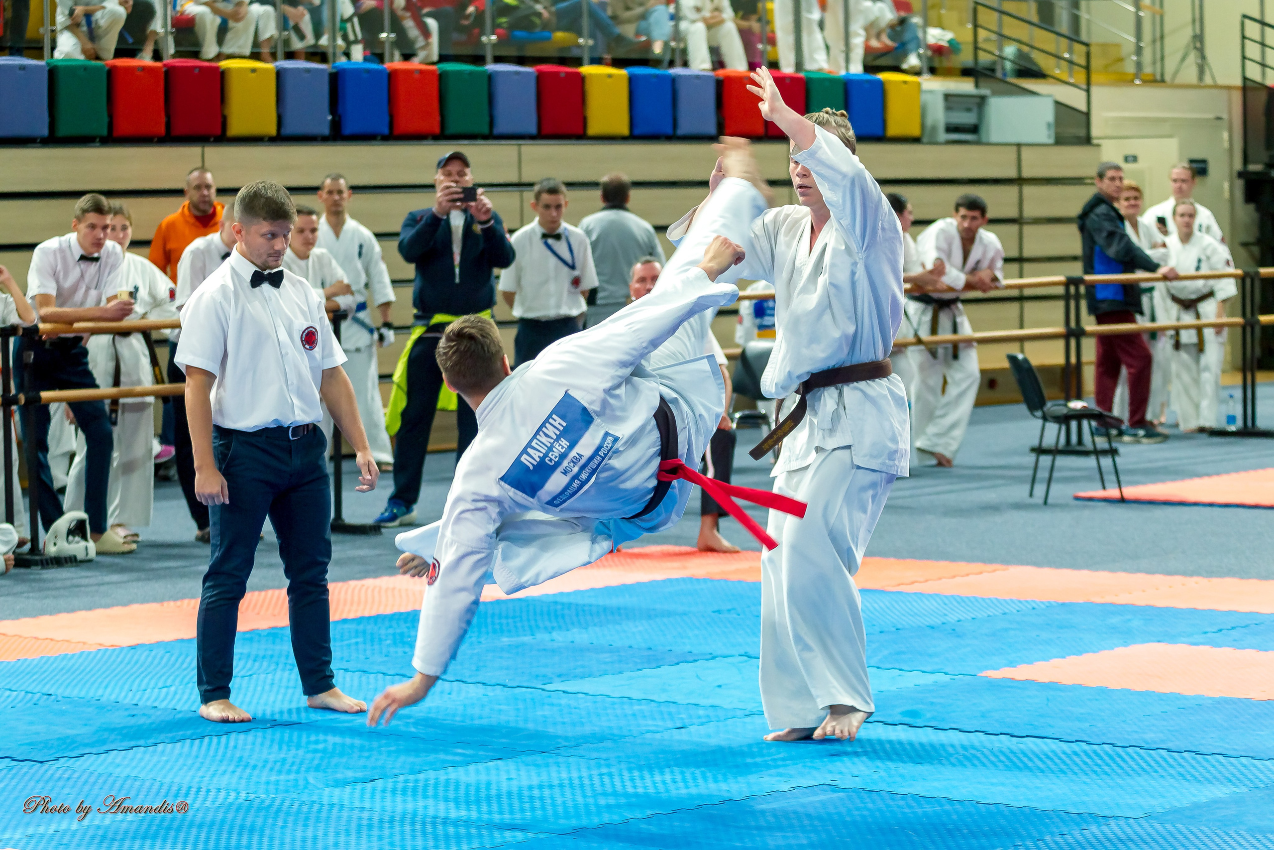 Первенство Московской области по Киокушин в СК «Жаворонки». Репортажная съемка в Москве и области. Анималистика