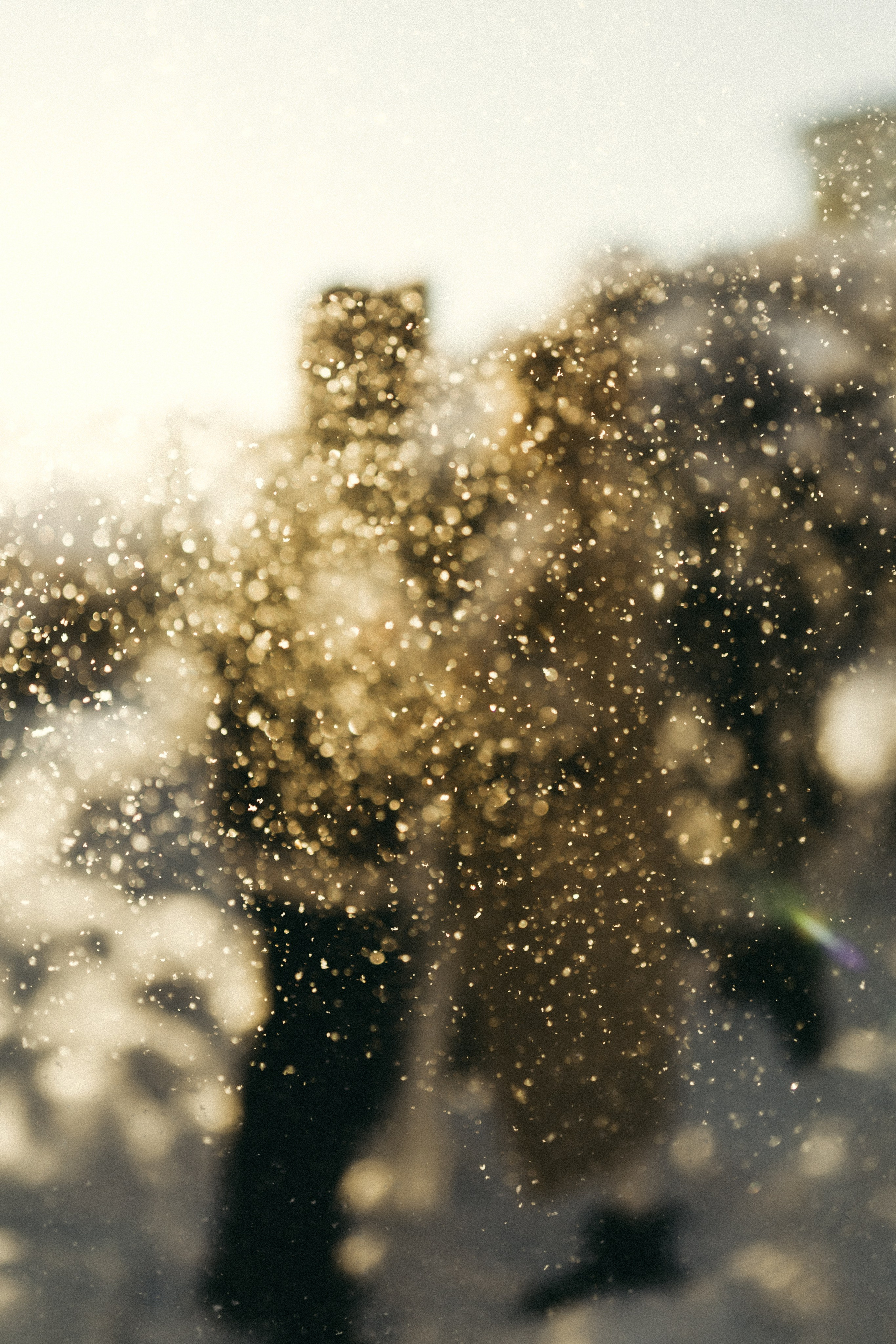 Настя и Женя. Фотограф в Санкт-Петербурге