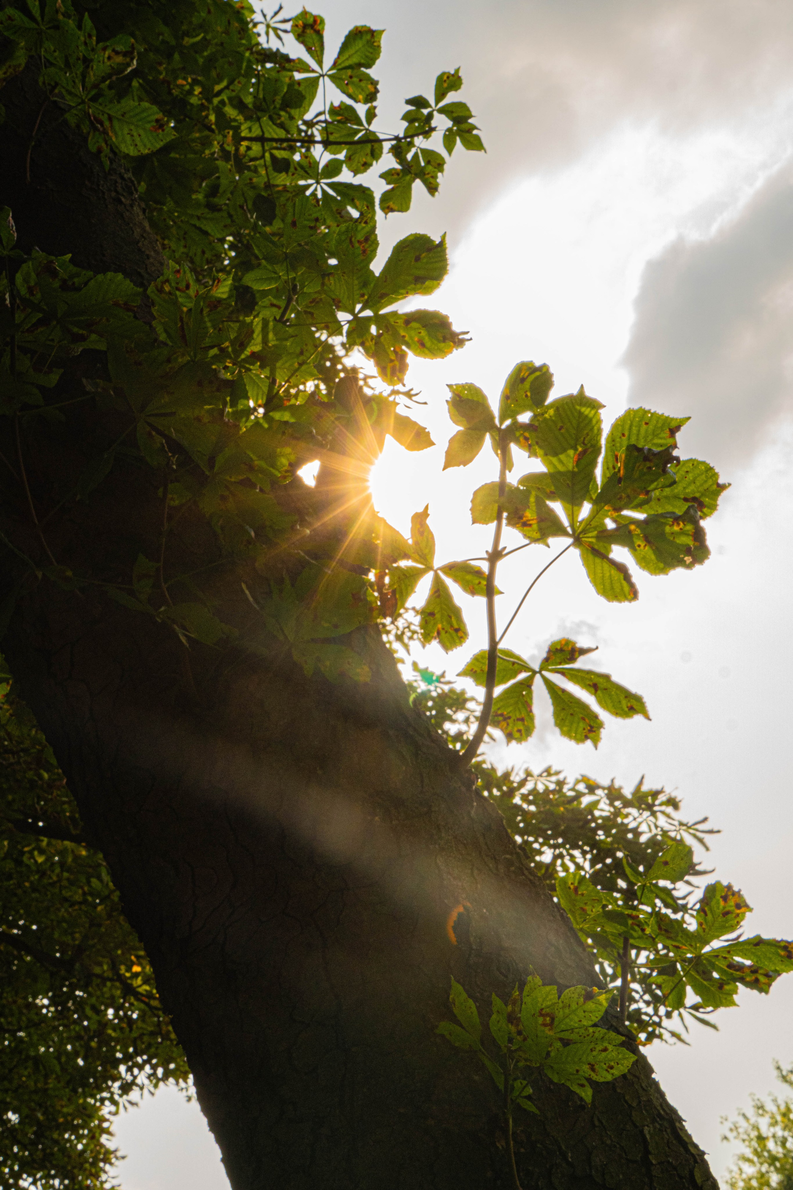 Архитектура и природа. Главная