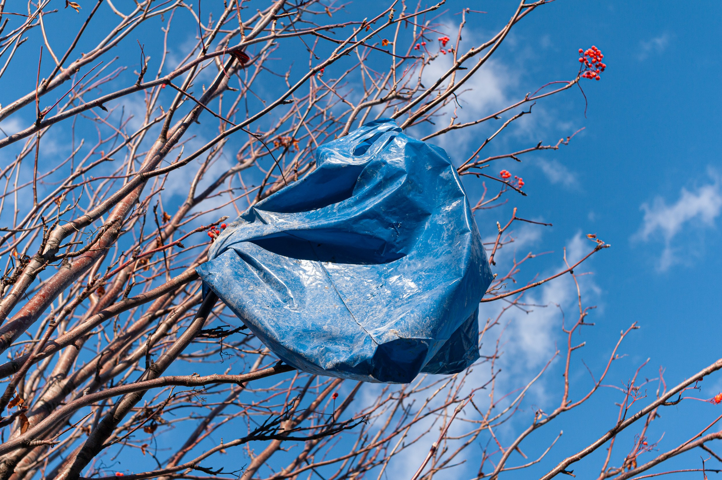 New city. Nikoilay Pak