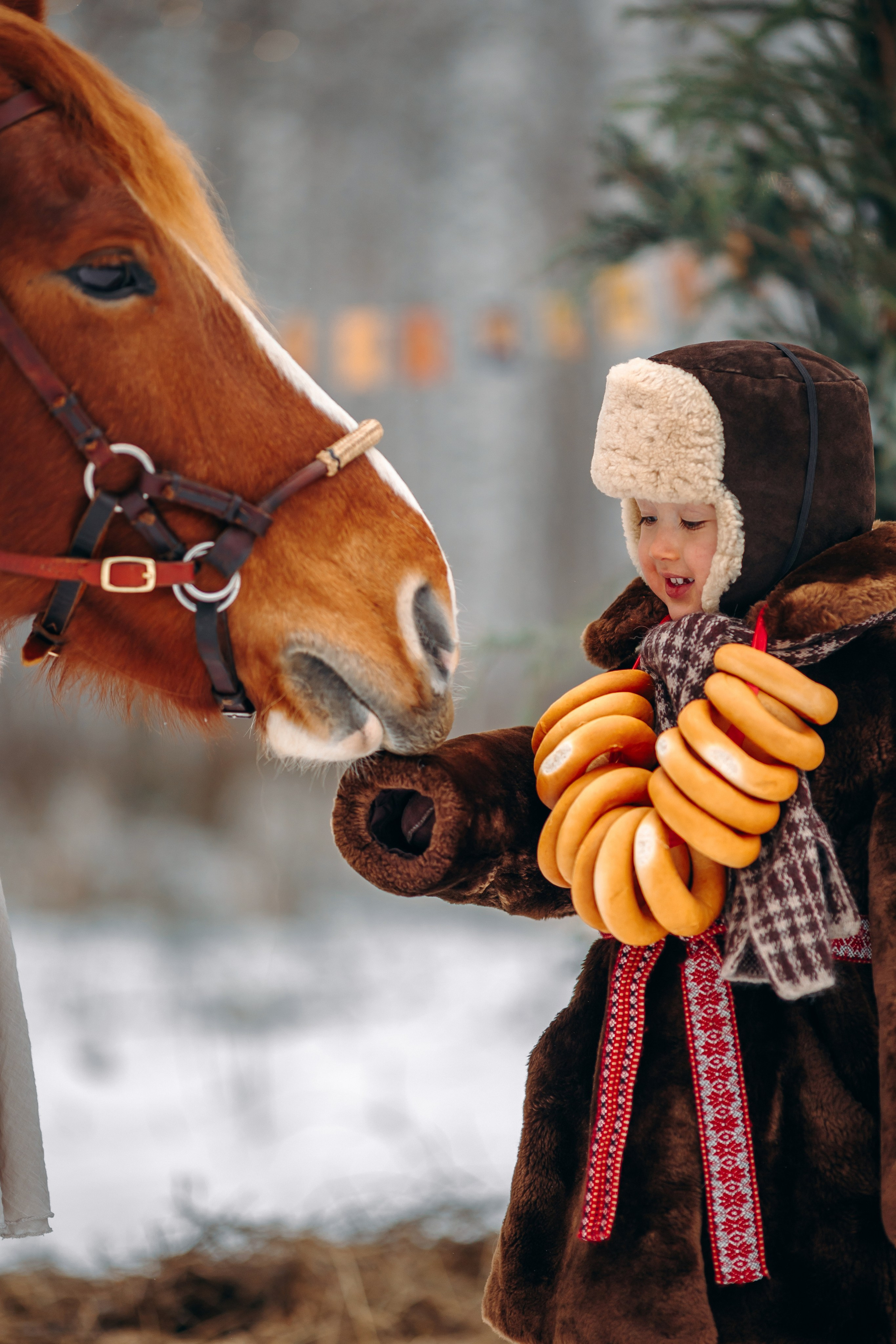 Тариф Новогодний 2025-2026. Анна Молчанова конный фотограф в Тюмени | фотосессии с лошадьми Тюмень