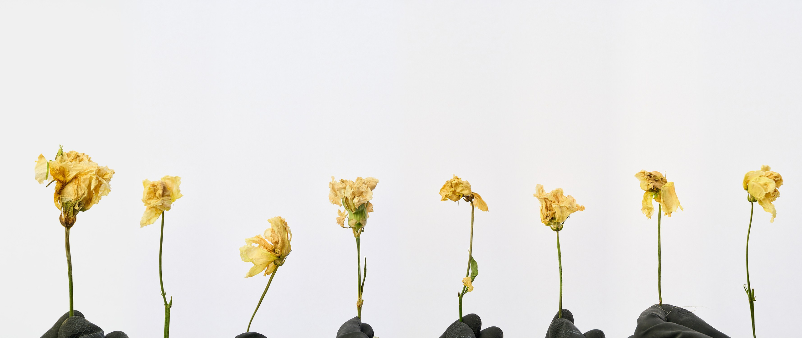 Photographer Pavel Romashchenko