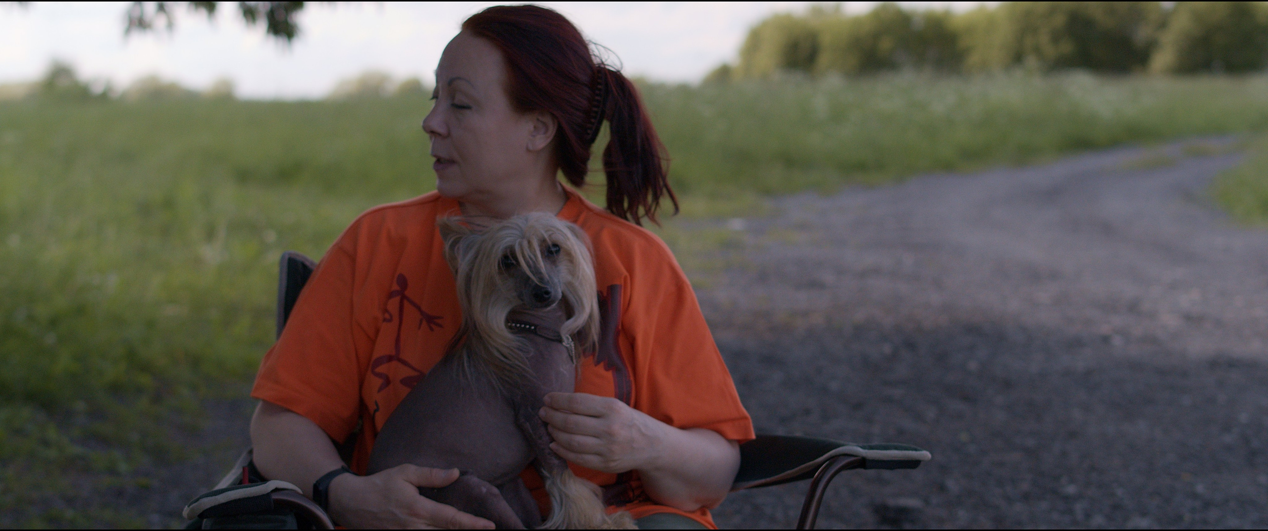 Footage from the interview. Poale Ell Chinese Crested Dog Kennel: Buy a puppy from the kennel