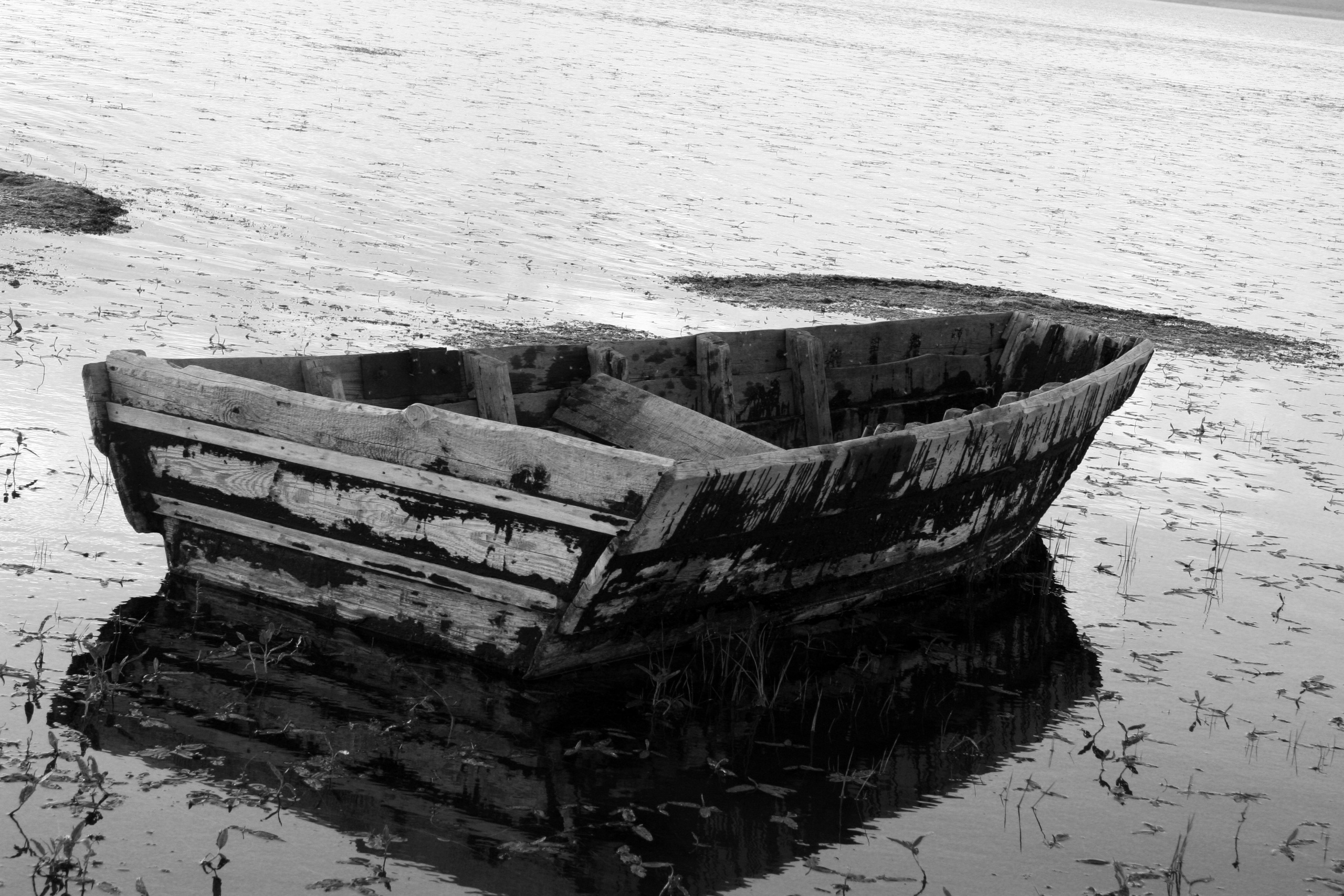 Фото Природы Забайкалья. Студия Максима Белослюдцева