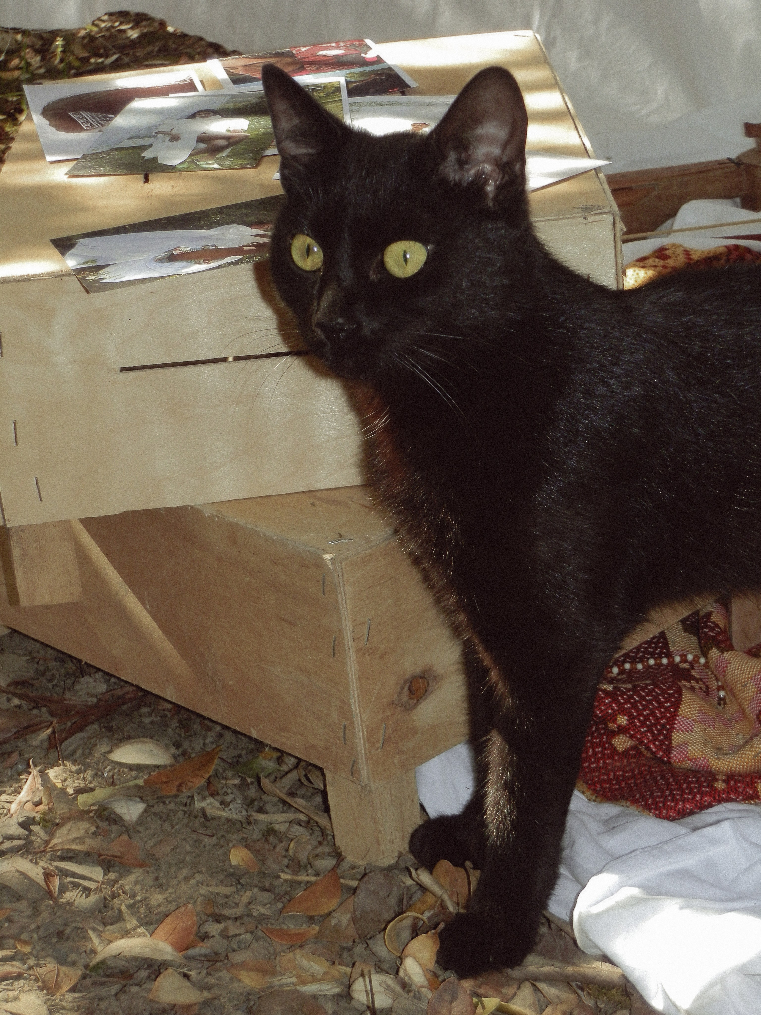 Огородная эстетика. Чувственный мобильный фотограф в Казани и Сочи Дьяченко Дарья