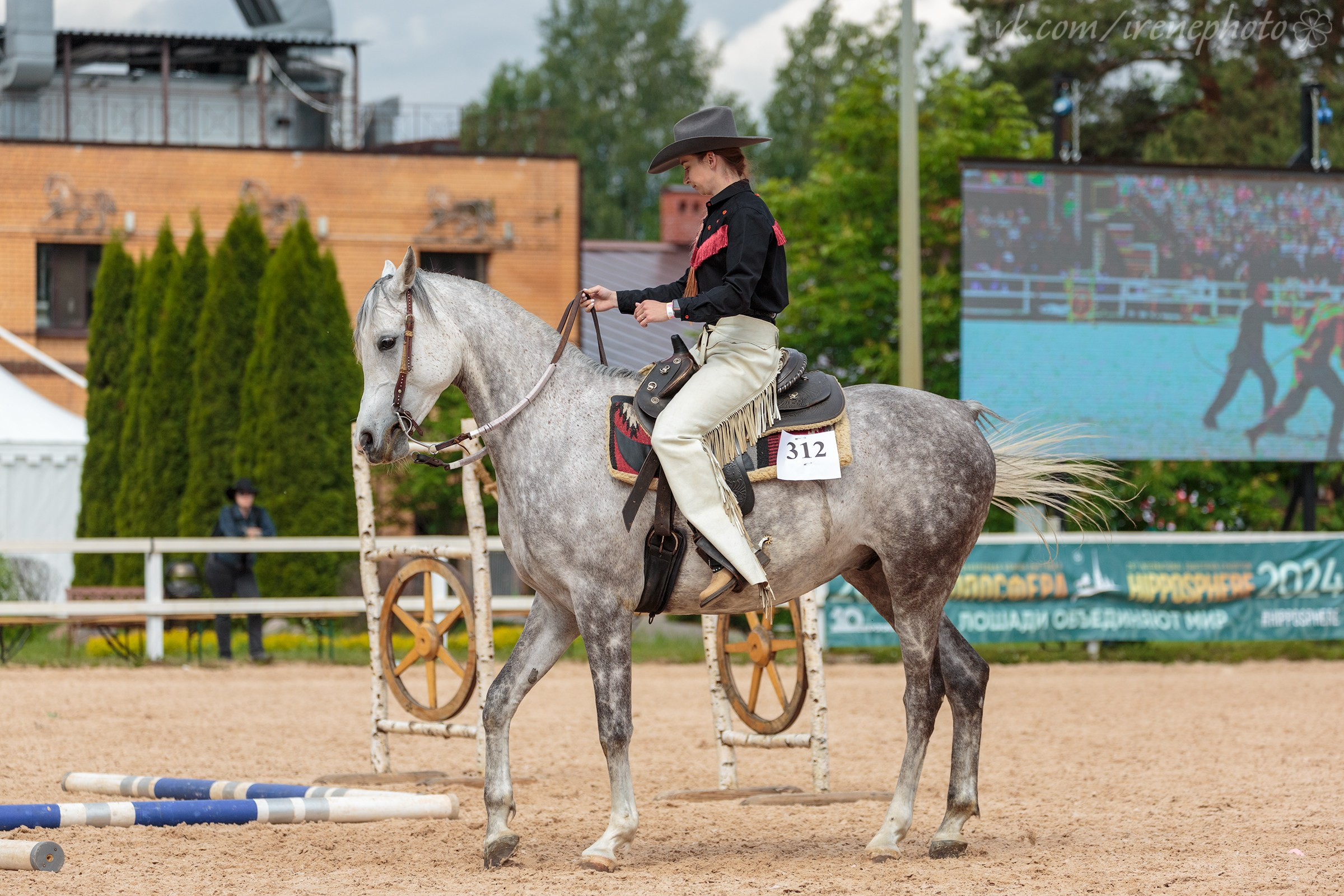 Иппосфера 2024. Irenephoto.ru
