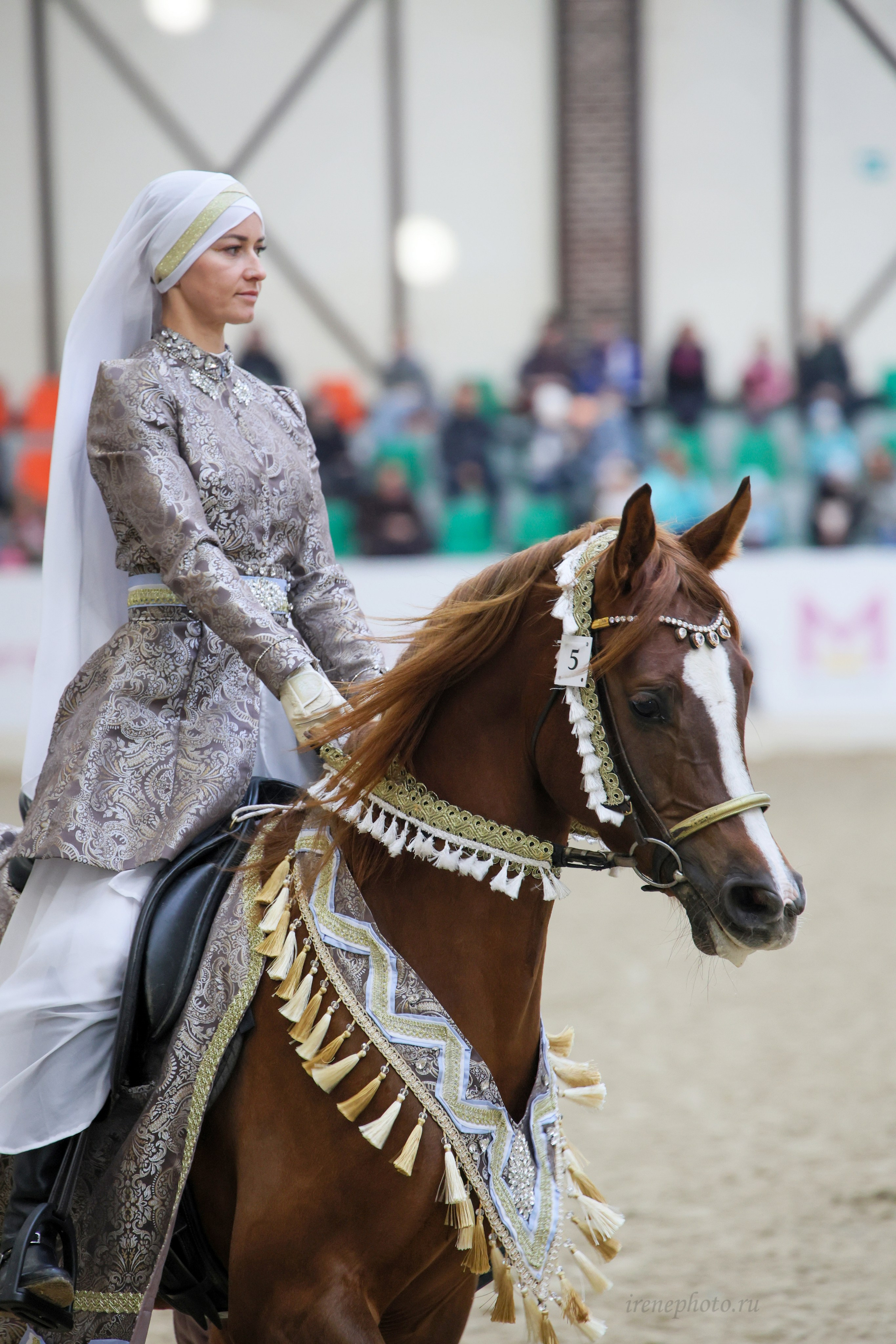 Конная Россия 2024. Irenephoto.ru