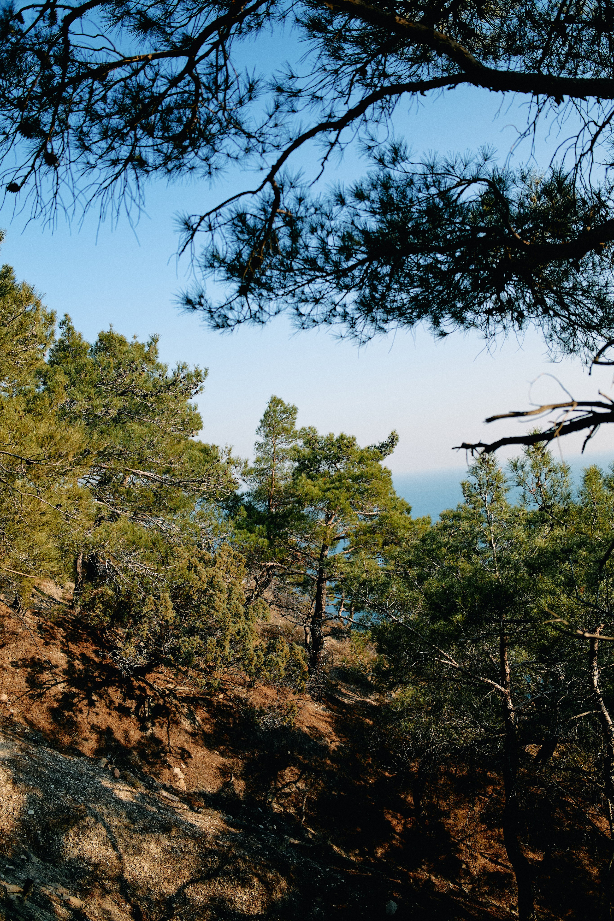 Юг России. Профессиональный Фотограф во Владимире, в Москве и в Суздале — Полина Романычева