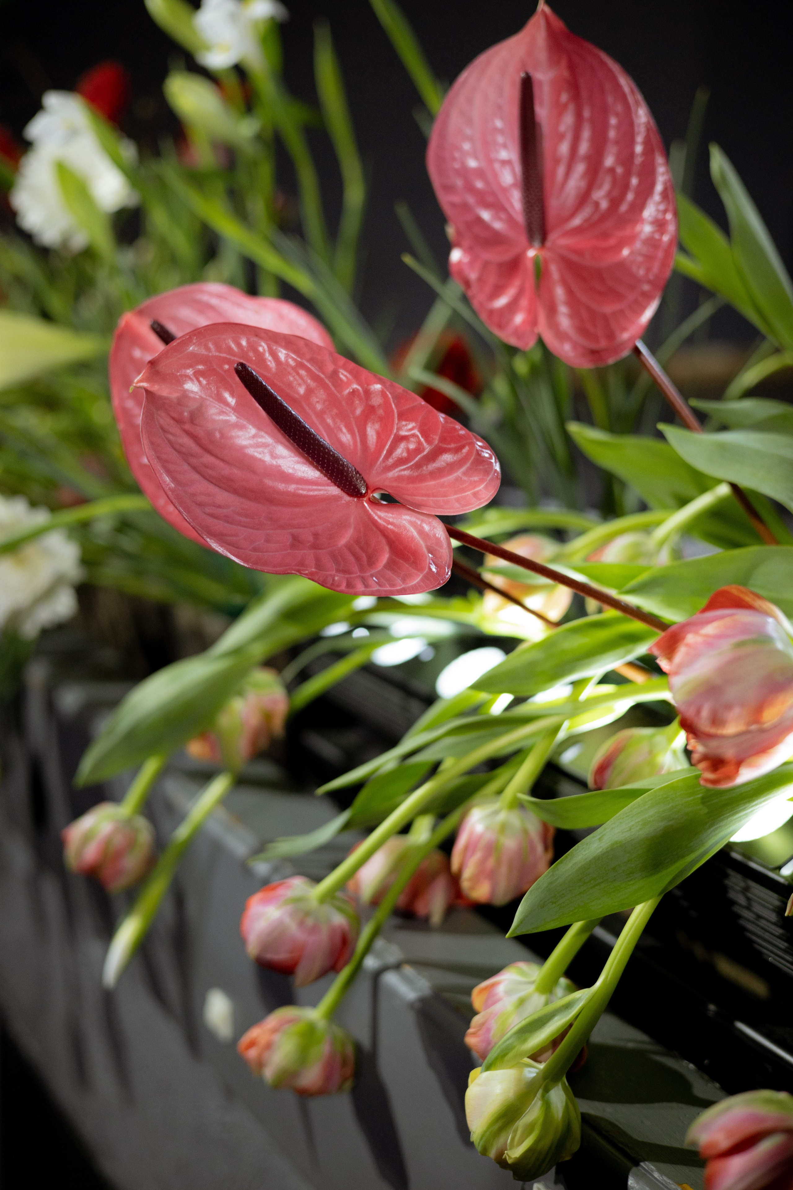 Оформление Отчетного концерта Музыкальной школы Глазунова. Оформление свадеб, декор свадеб Вера Маркова, Москва