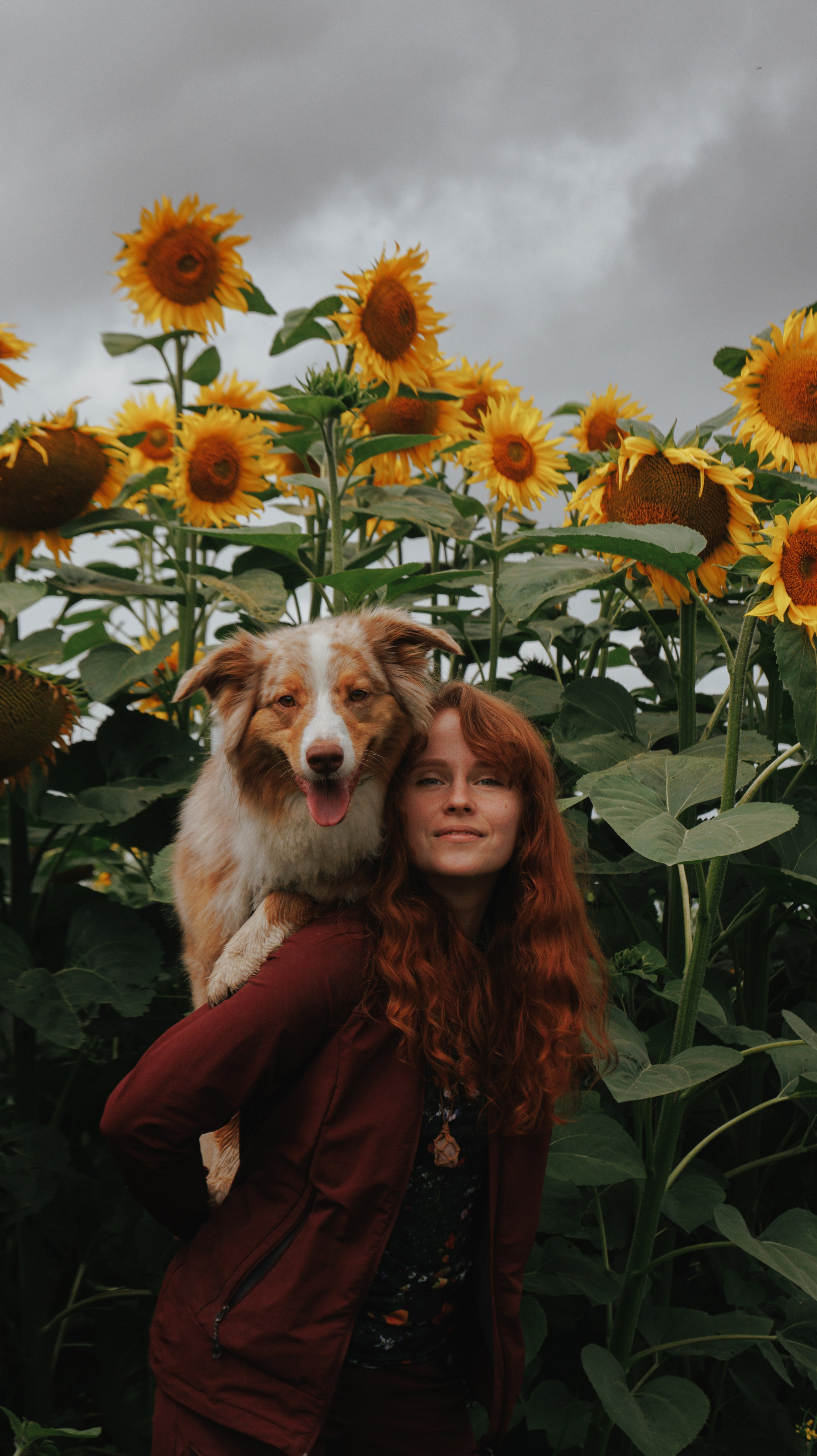 Волшебный лес с Тасей, Морошкой и Брусникой. Стас Соболь, фотограф анималист, репортажник, Москва