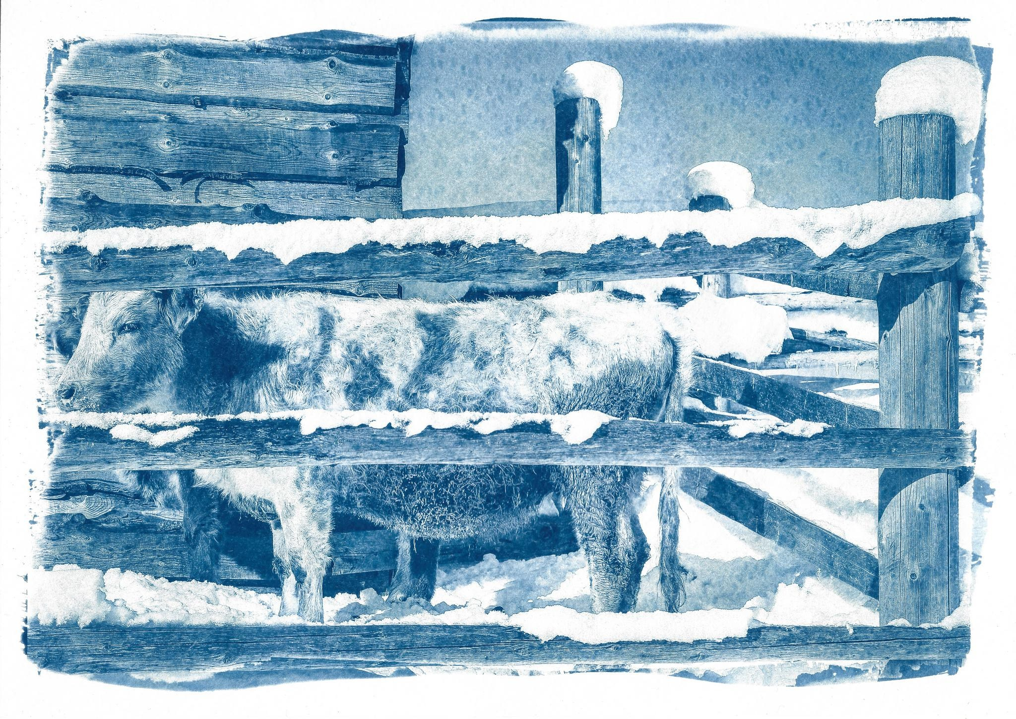 Дом снега. Shatohina.com