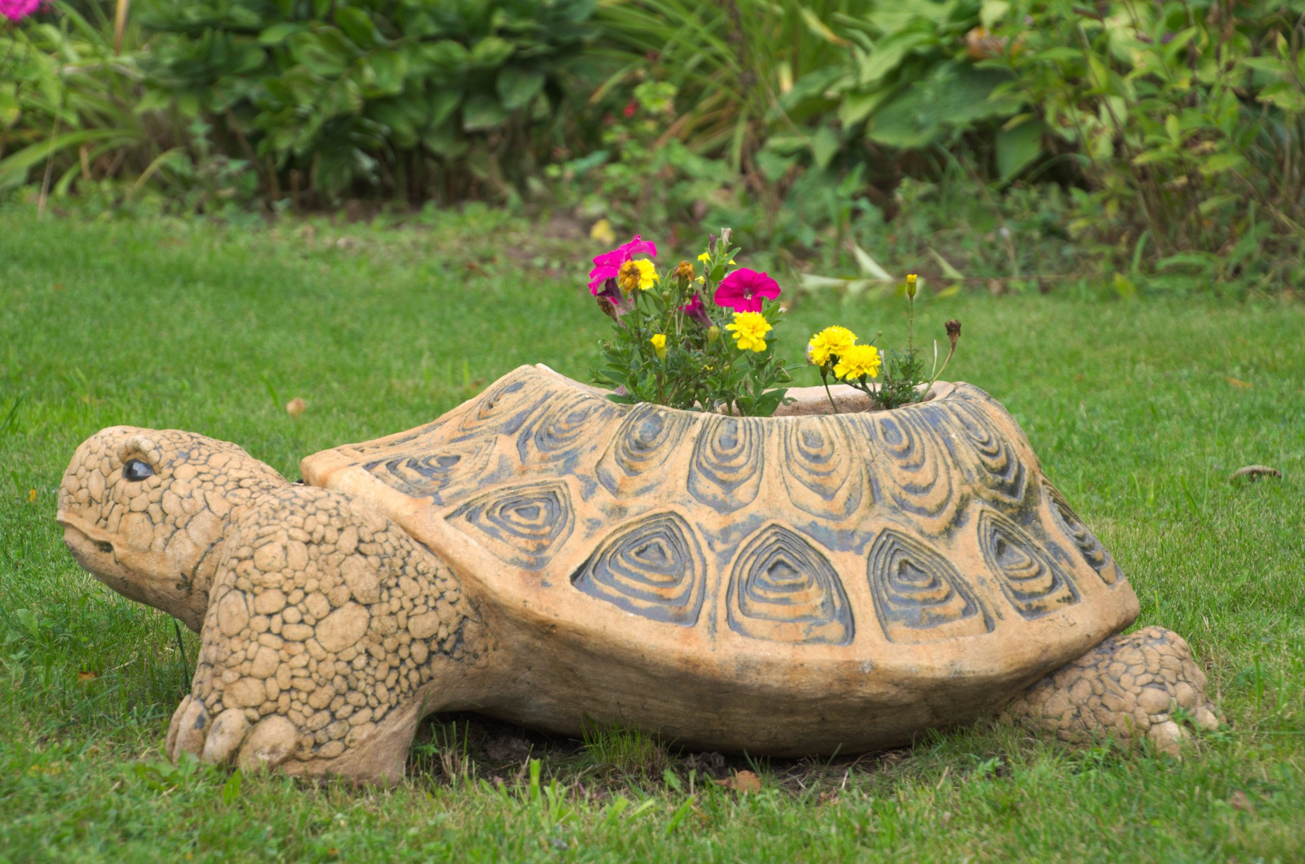 Боровск и парк птиц «Воробьи» | 17.09.2017. Галерея Фантим
