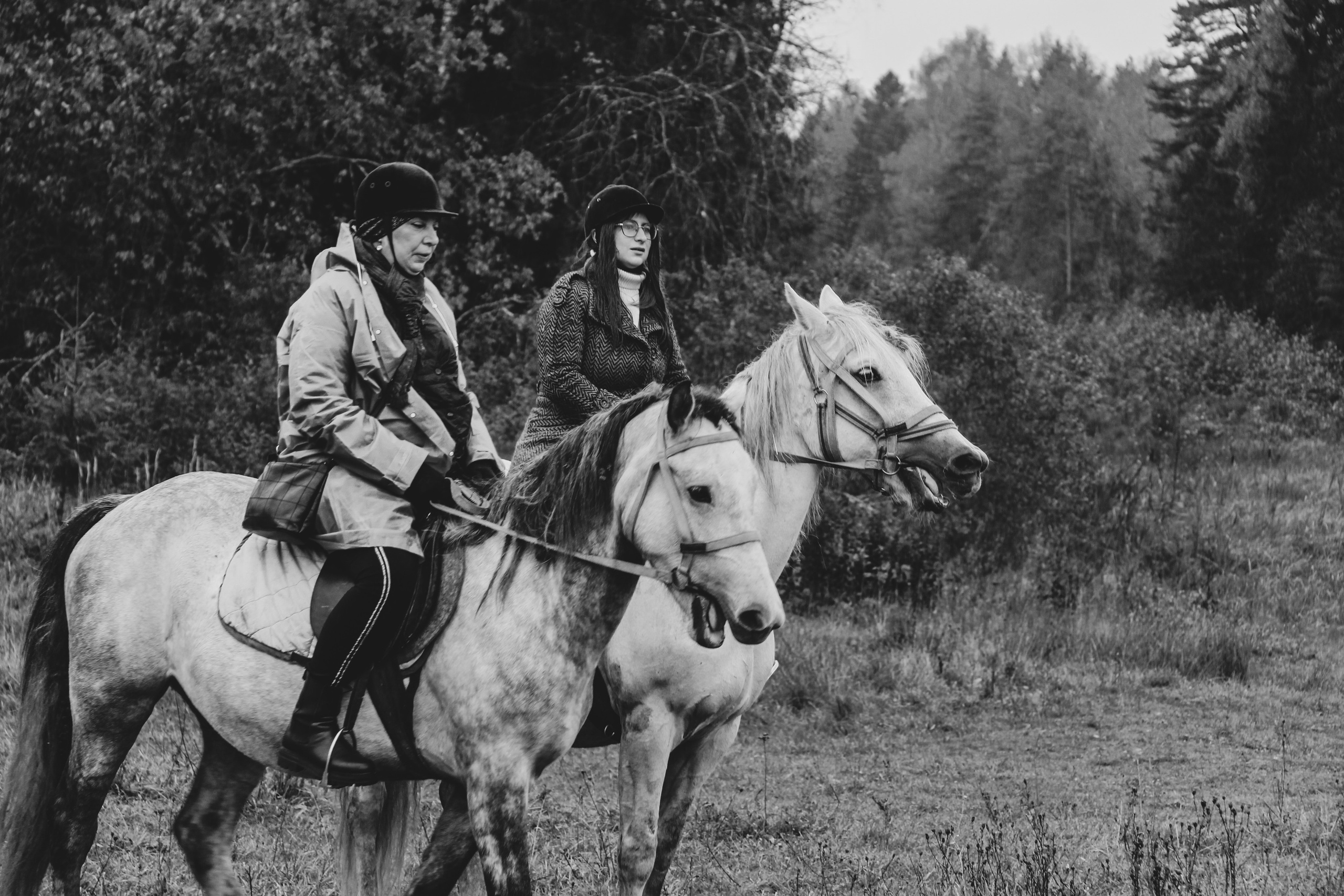 Лошадинг | 27.09.2025. Галерея Фантим