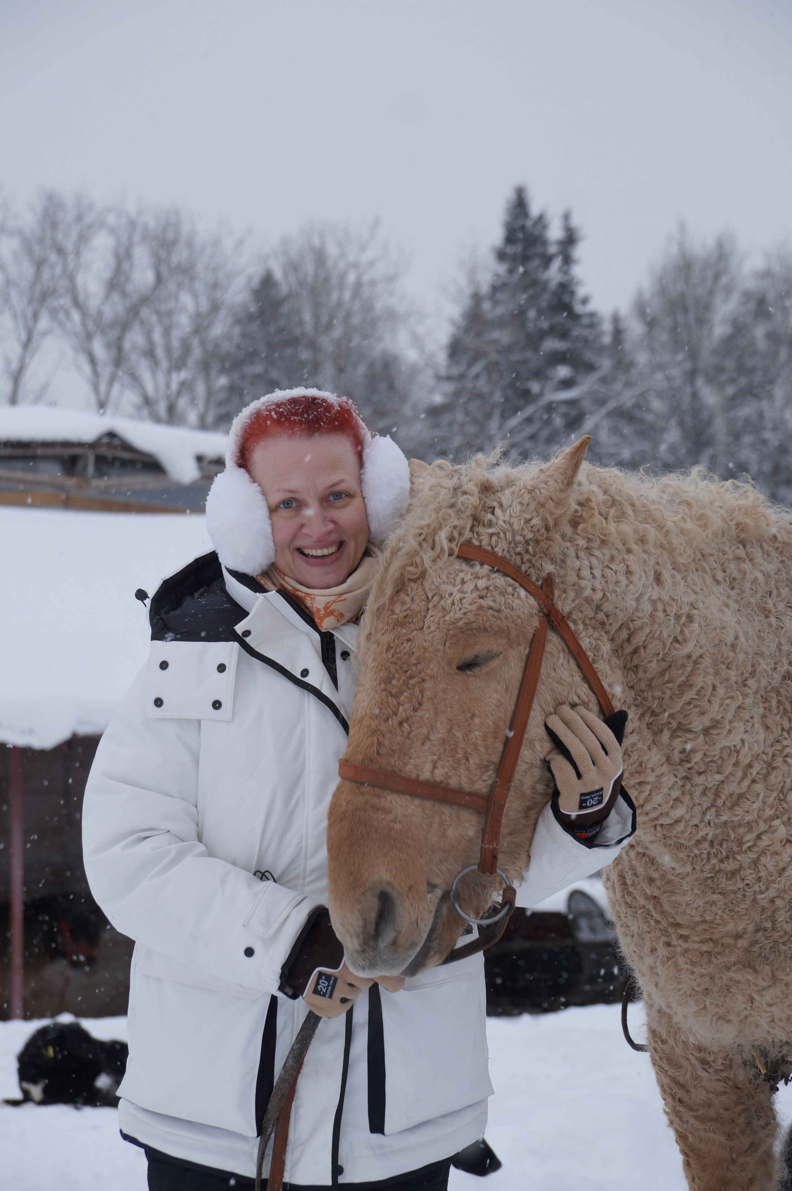 Лошадинг | 11.01.2026. Галерея Фантим