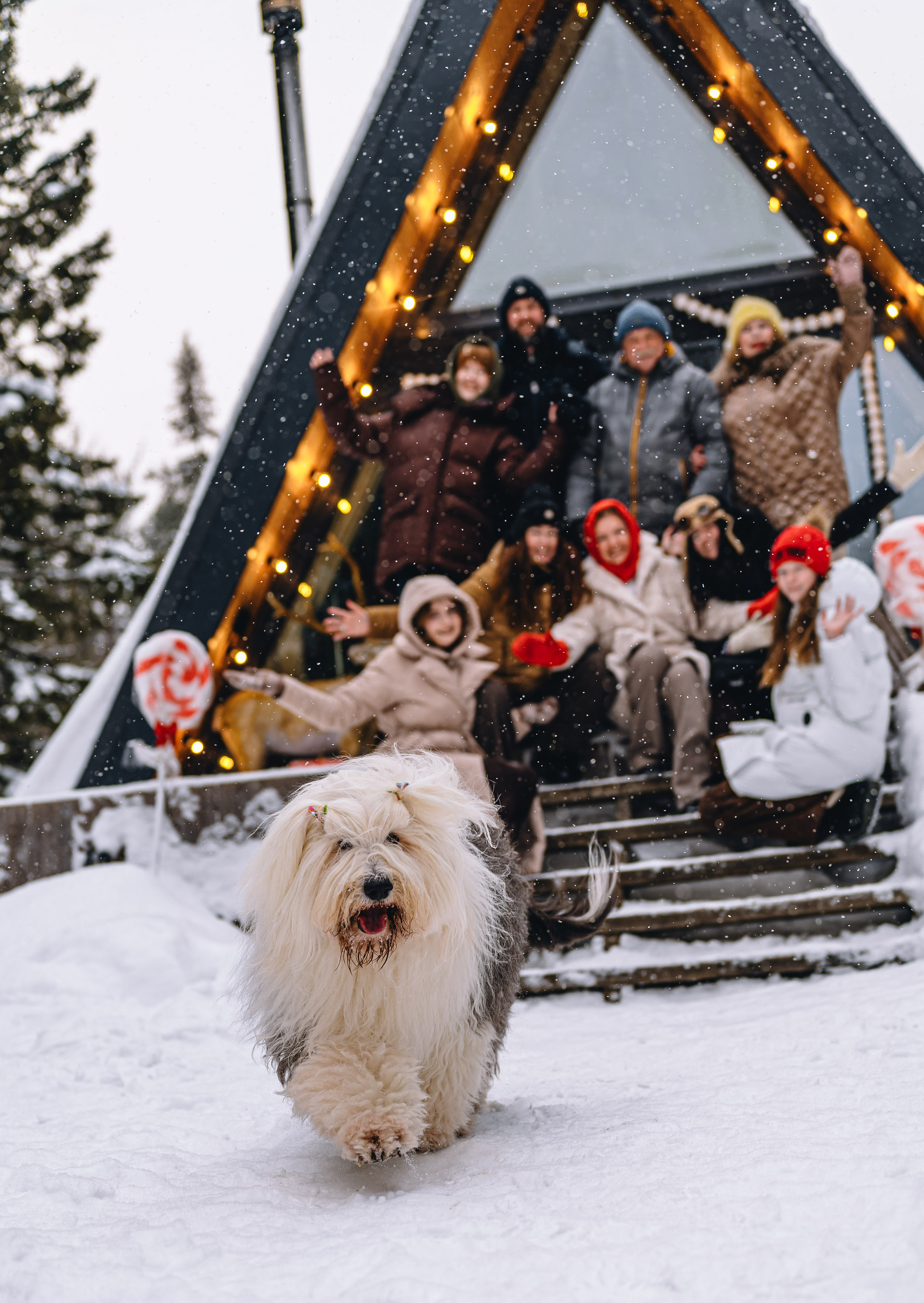 Выездные Фотосессии. Свадебный и семейный фотограф в Томске Алексей