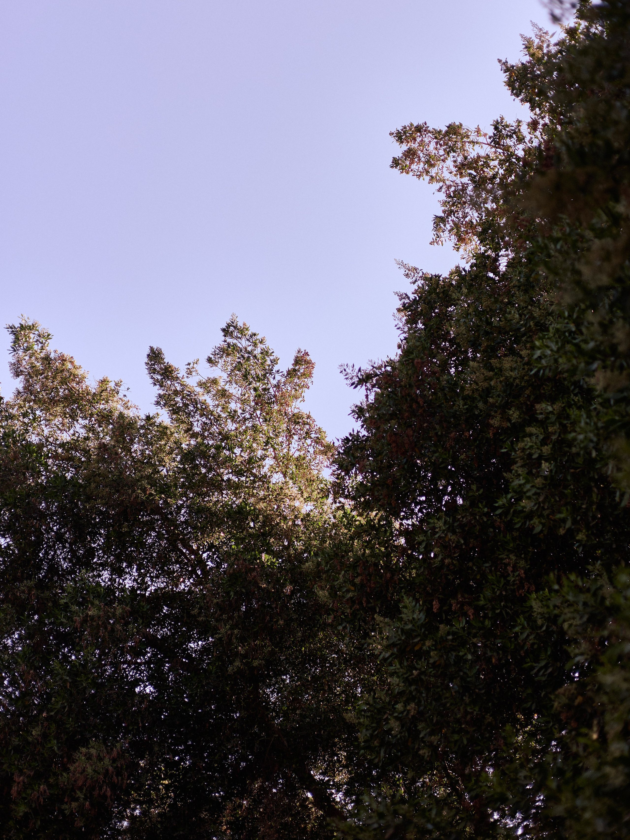 Другое 3. Jorgis Talè — photographer, kind person, teacher of arts and other mag