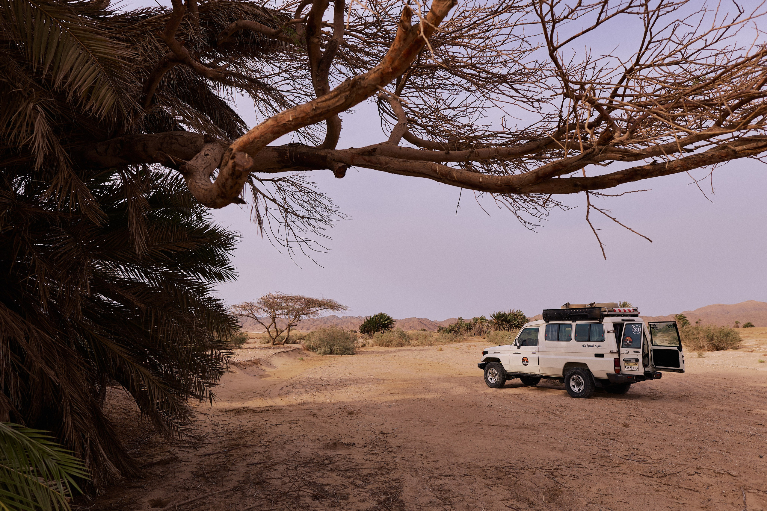 Улица горизонтальная. Jorgis — фотограф в Хургаде / обучение фотографии