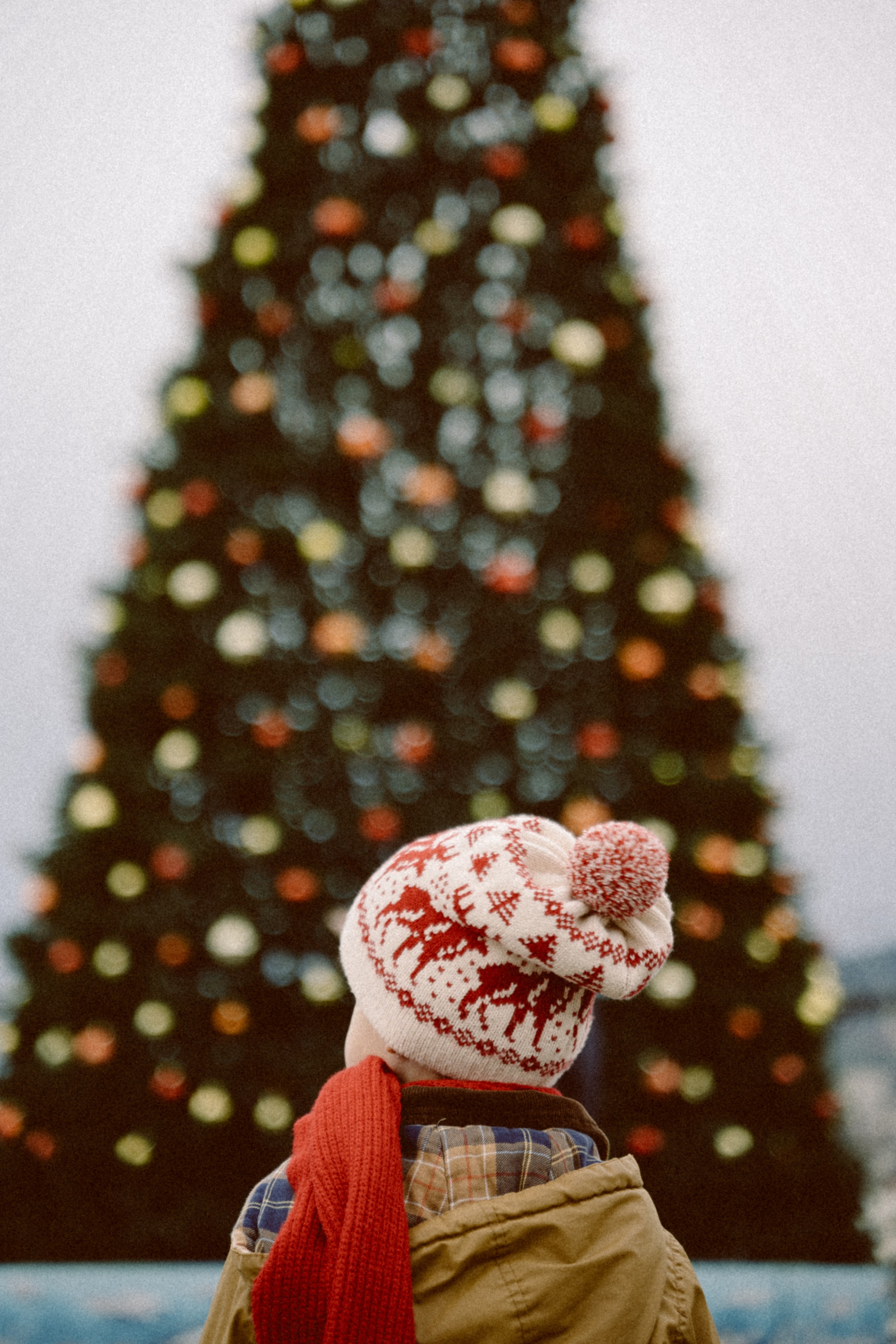 Один дома. Мария Кобзева, фотограф в Ялте, Крым