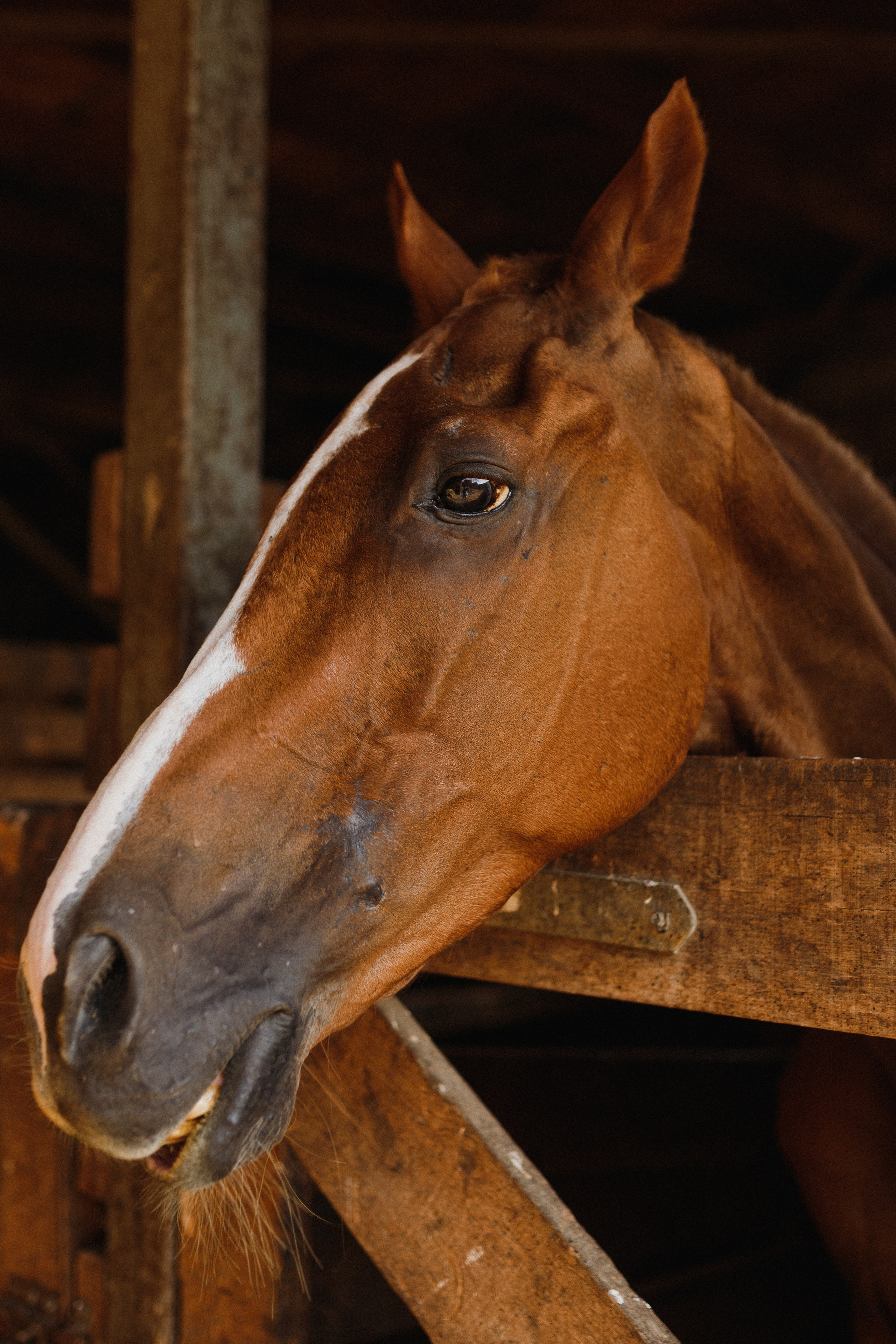 Аврорушке 3. Семейный и женский фотограф в Краснодаре Виктория Гупало