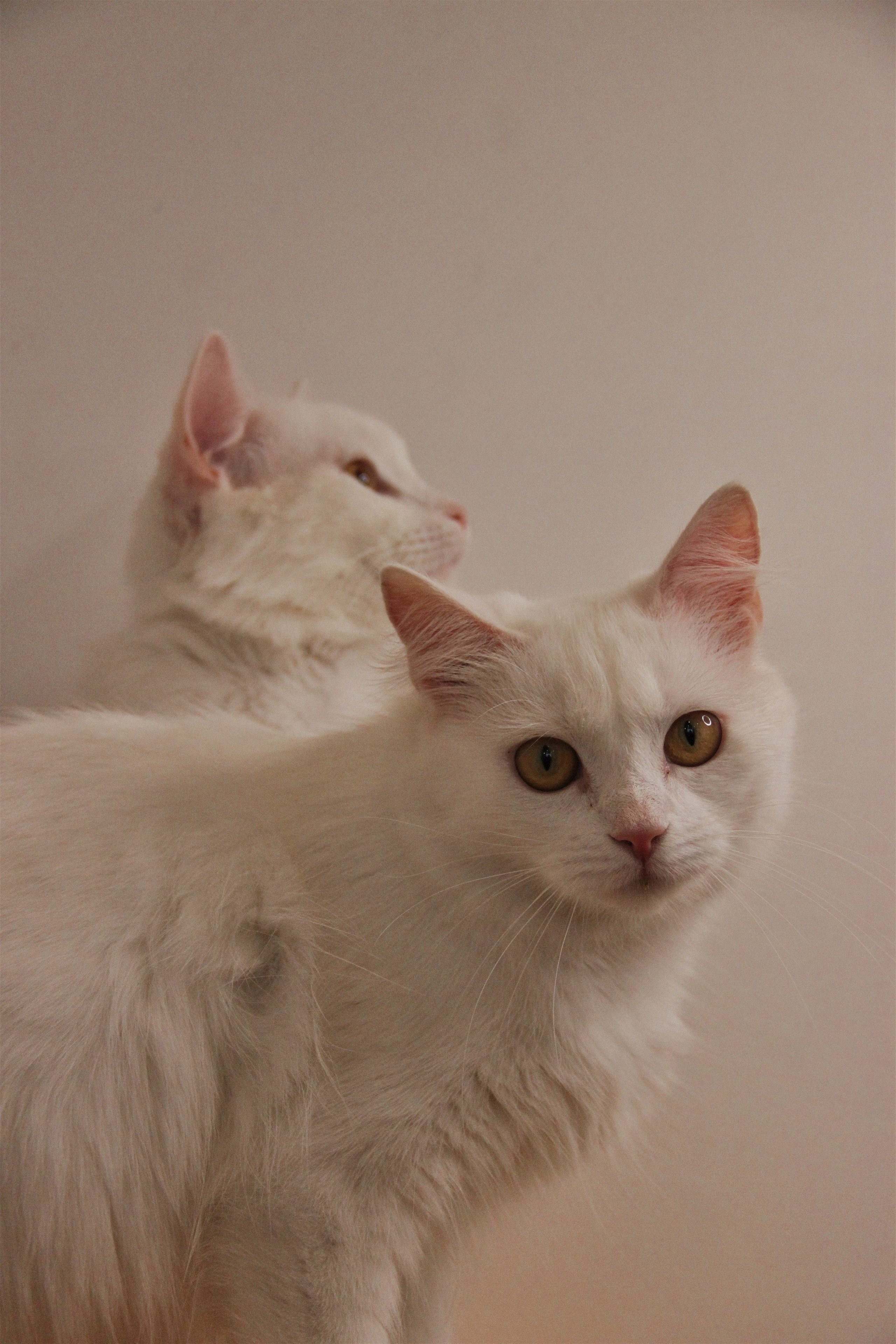 Фотограф и видеограф в Санкт-Петербурге