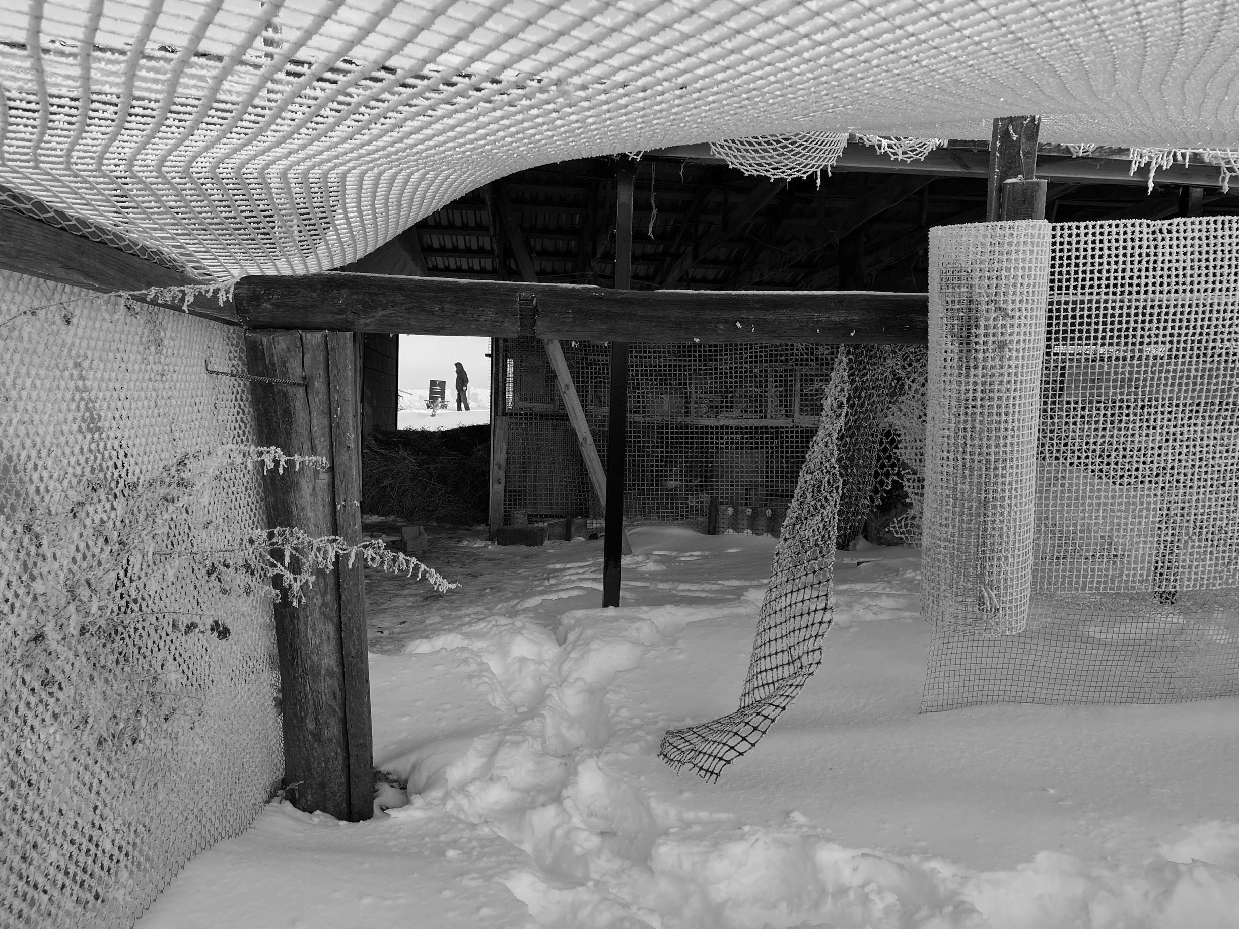 Клетка. Фотограф Мария Усманова, Казань