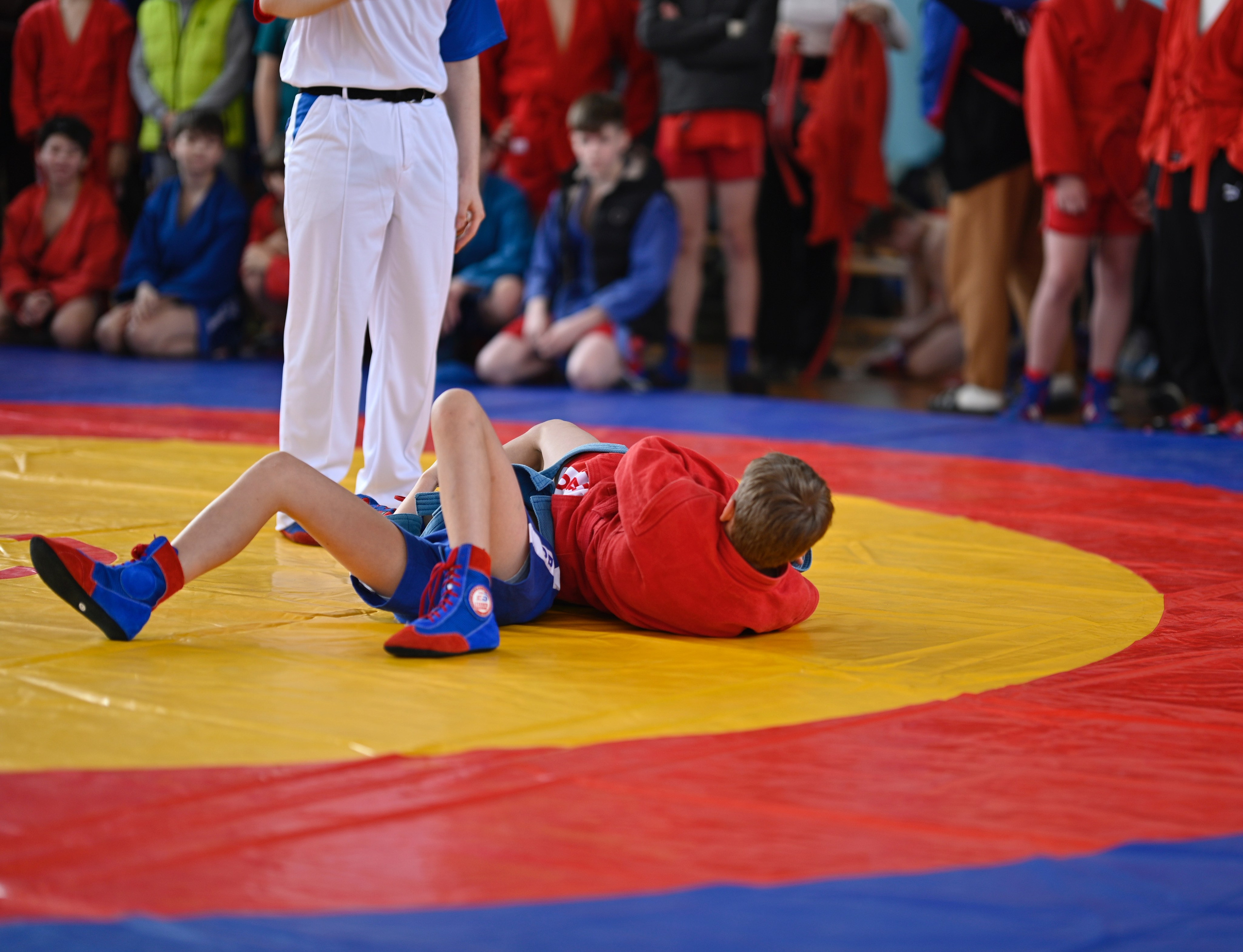 Самбо. Фотограф Ваших событий 📸
