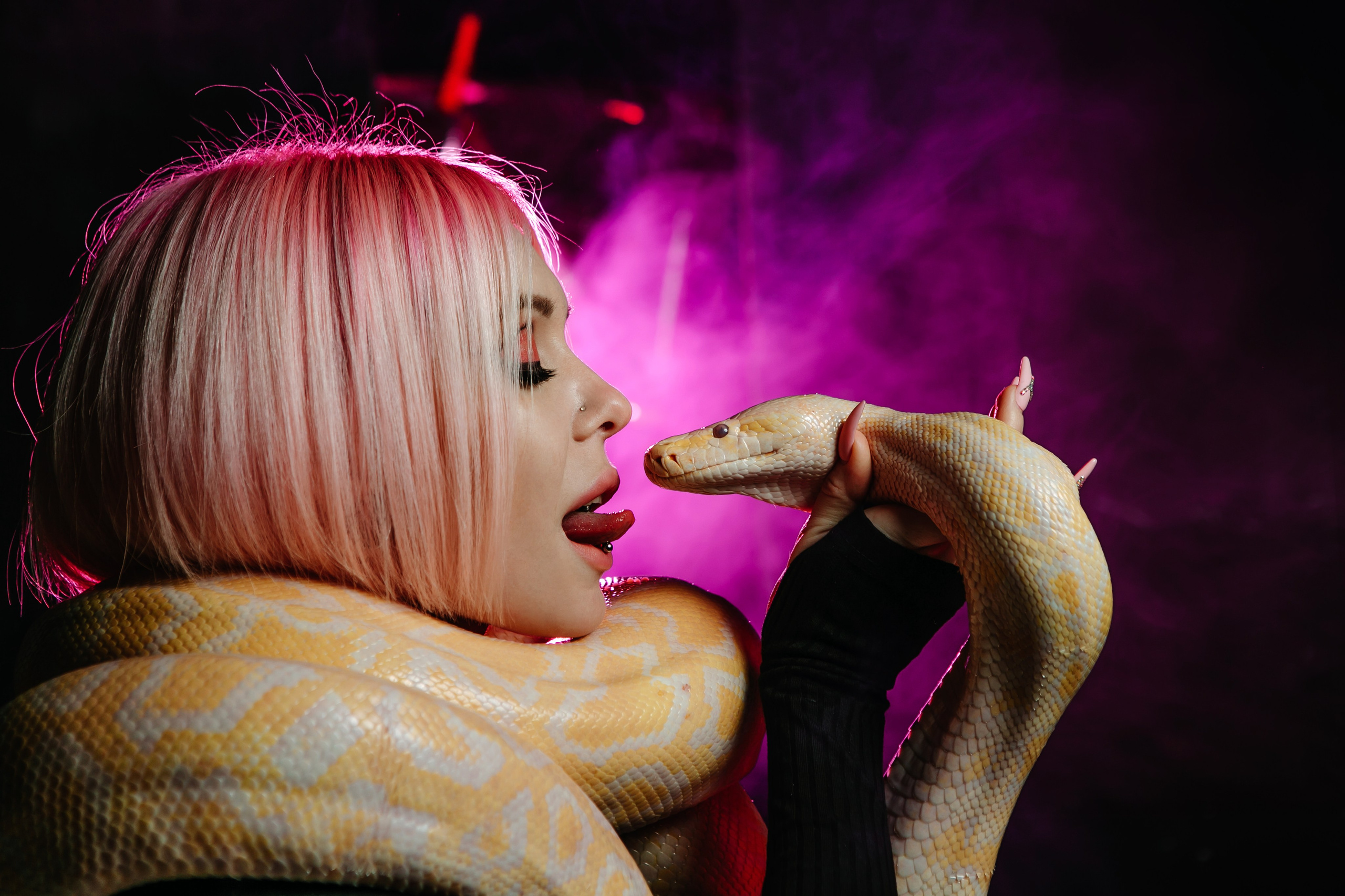 Змеи. Фотограф Новороссийск