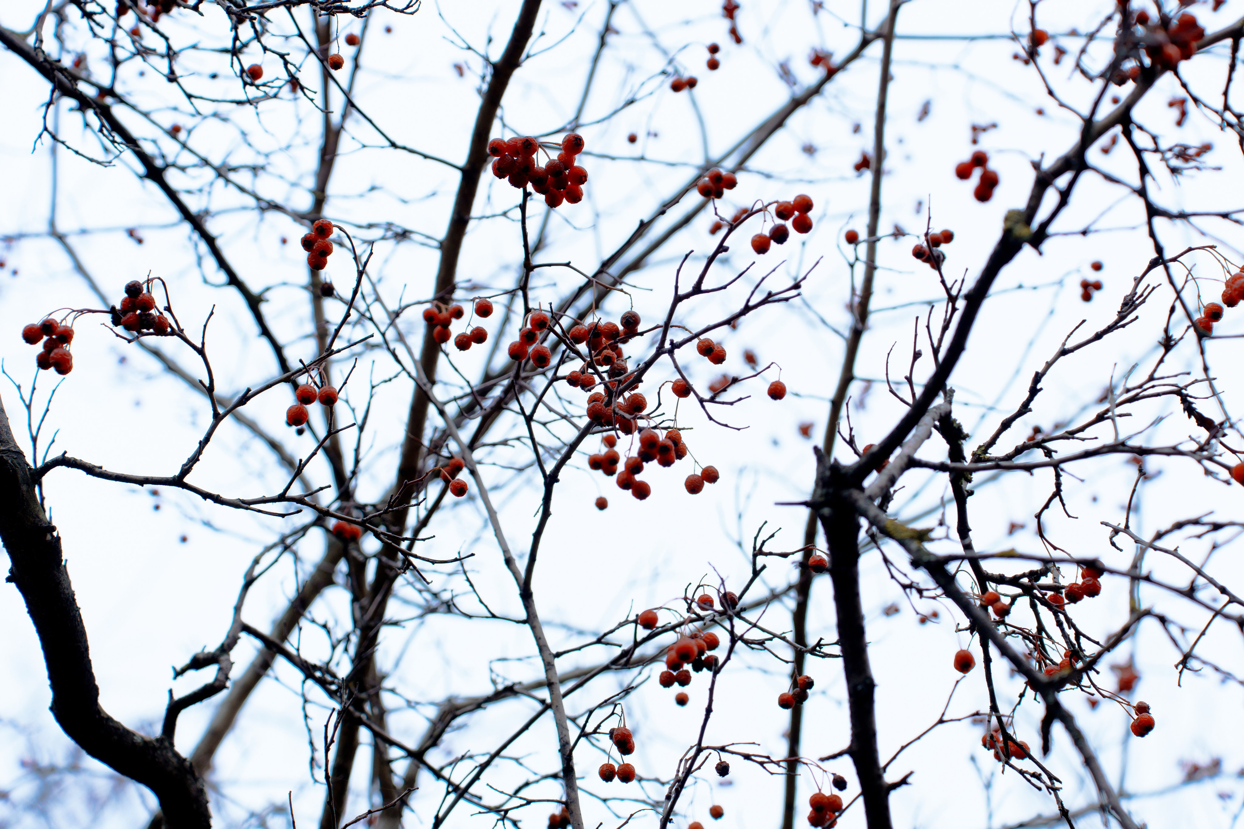 Пейзажи / Природа. Polypolarphotography
