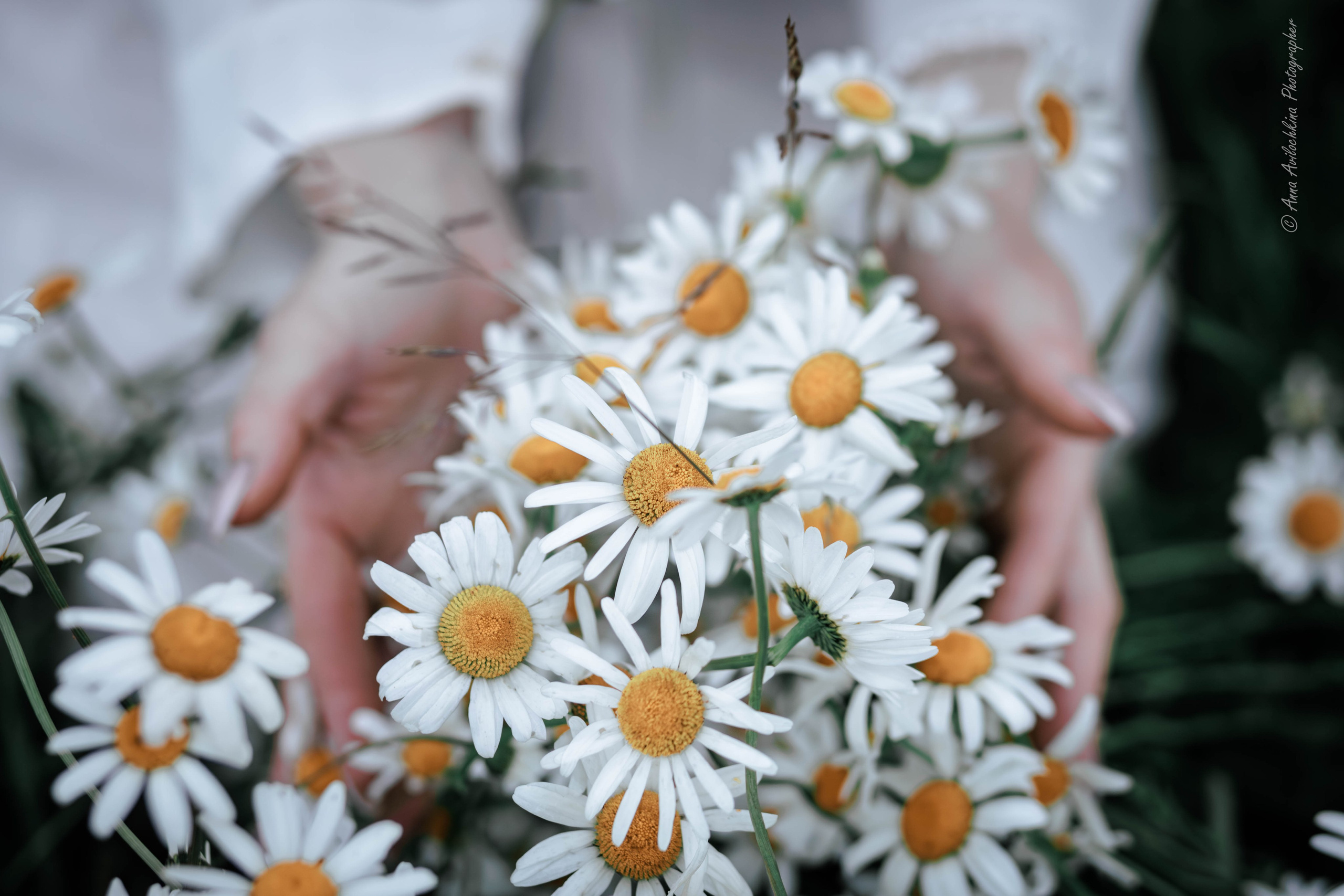 Фотосессии для себя и для вашей семьи. Семейный и свадебный фотограф в Москве и Домодедово Анна Авилочкина