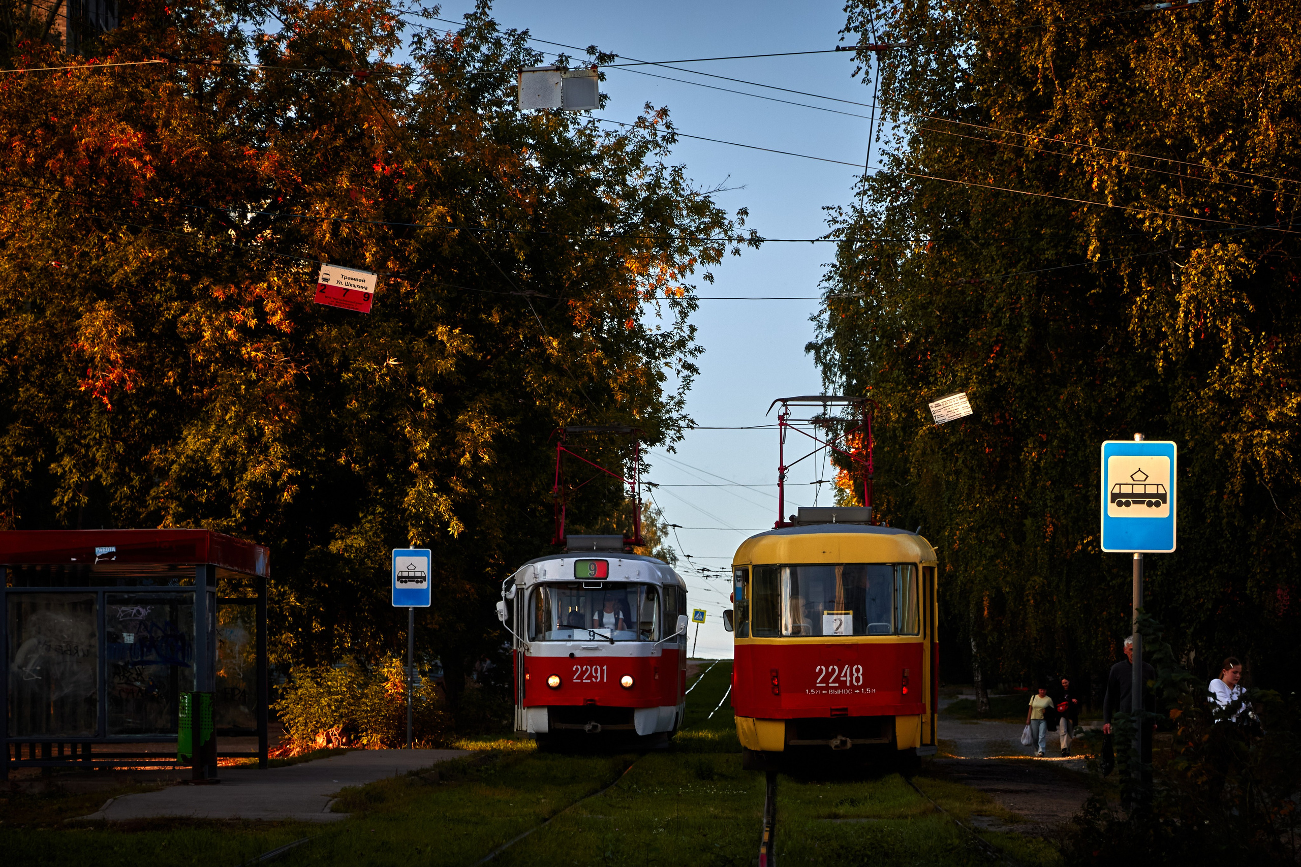 Трамваи. Олег Романов. Мастер фото по спорту