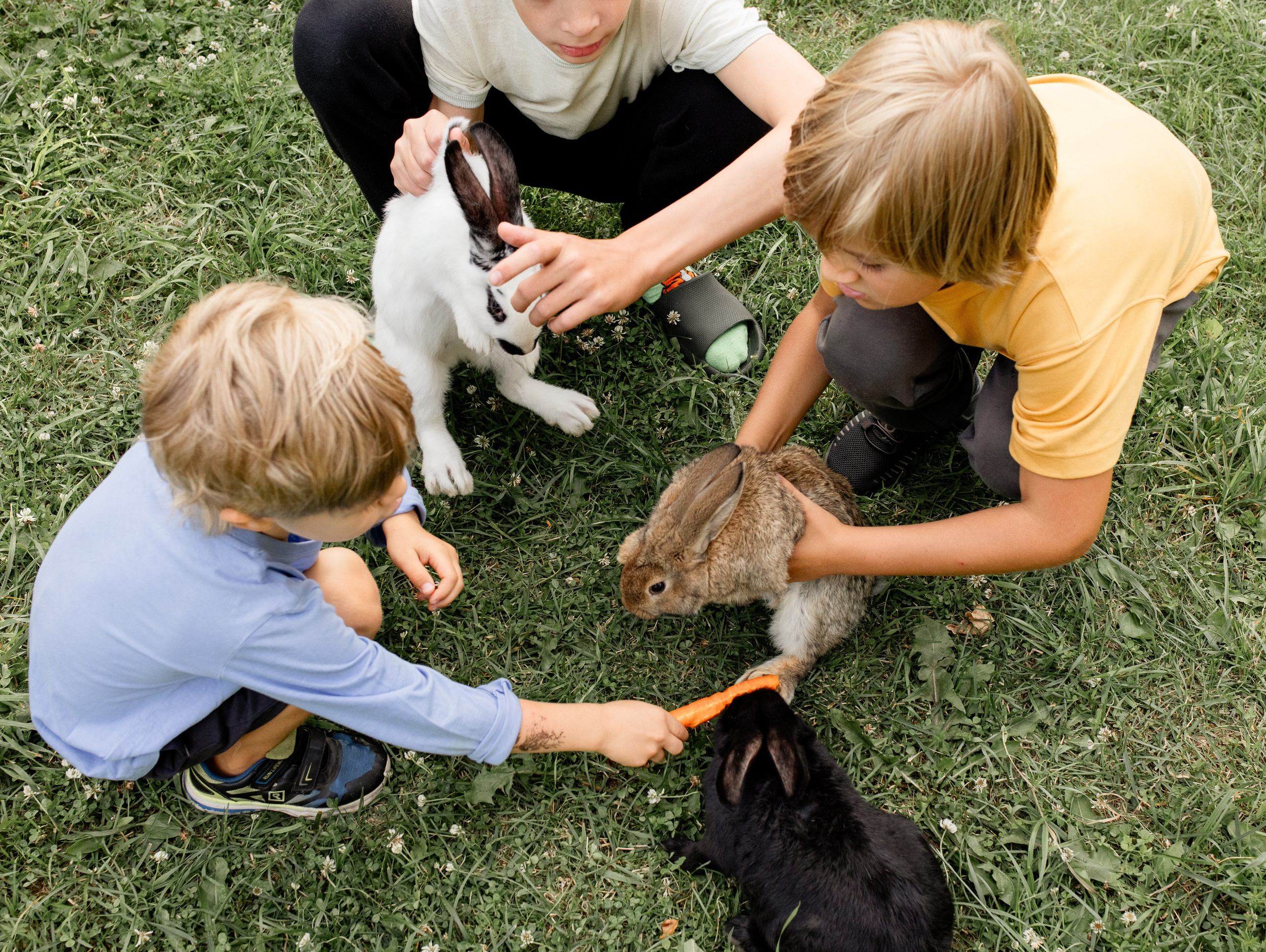 Кролики 2023. Семейный фотограф в Санкт-Петербурге Ирина Иванова