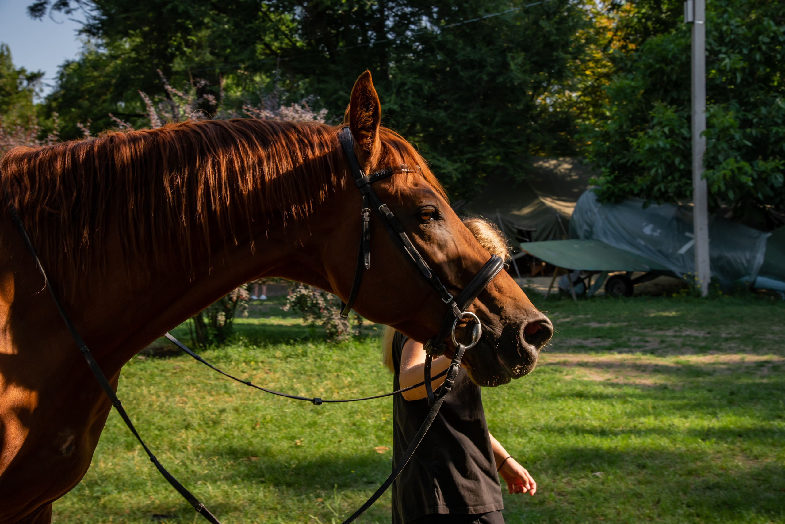 Конная прогулка. Фотограф Галина Нестерова
