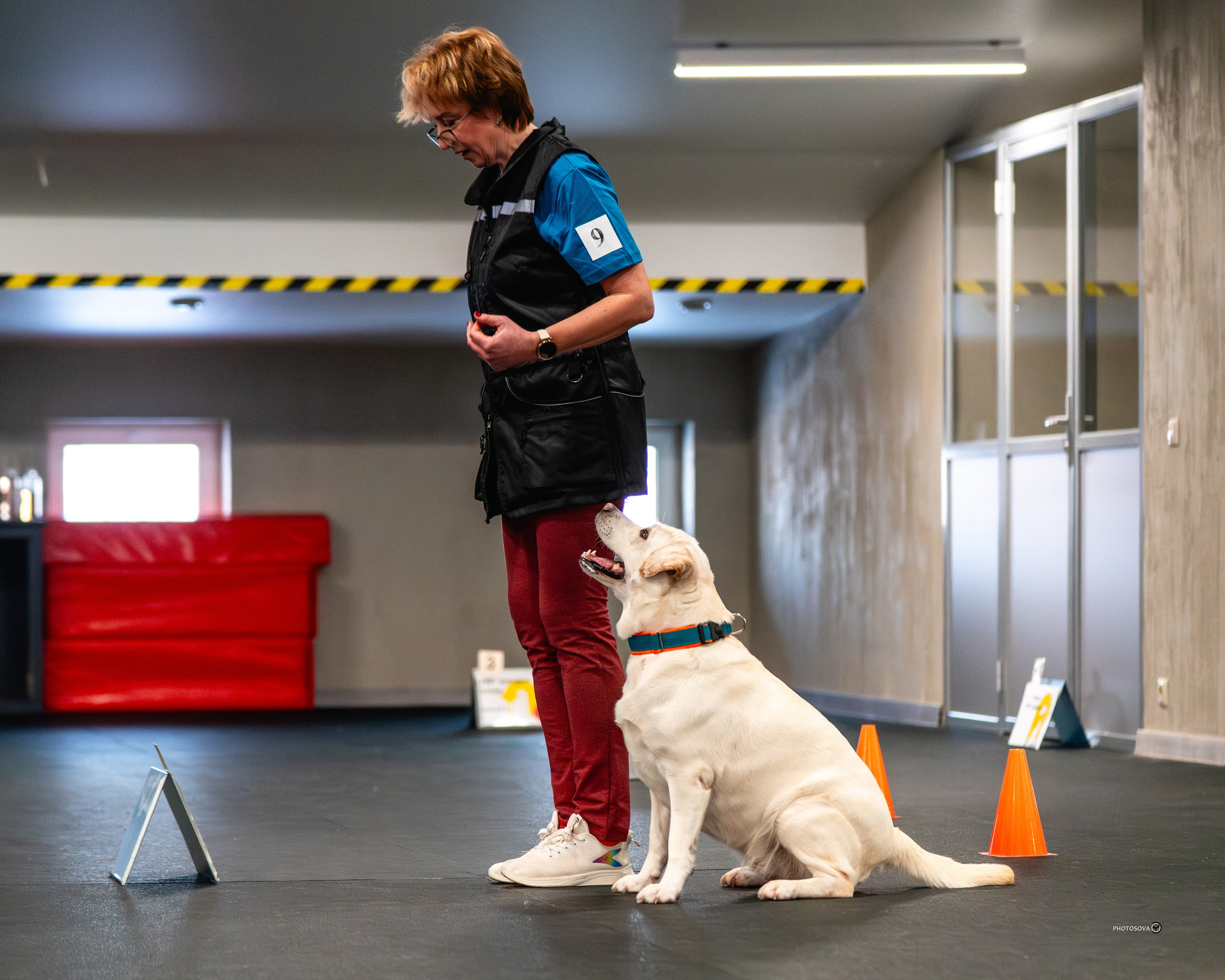 ТЫ И Я (соревнования по ралли-обидиенс). Фотограф-анималист, семейный фотограф в Москве и Подмосковье. Фотосъёмка кинологических дисциплин