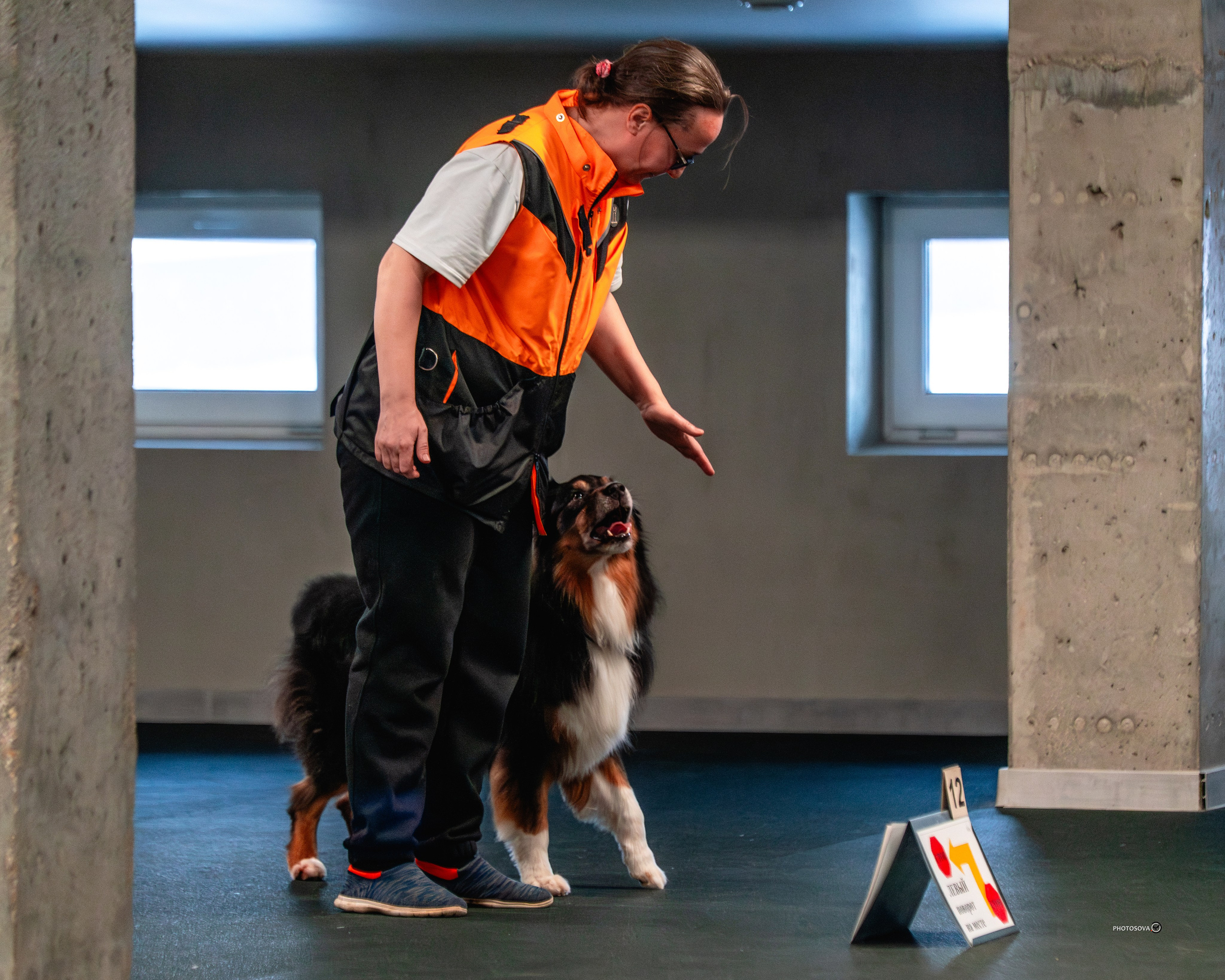 ТЫ И Я (соревнования по ралли-обидиенс). Фотограф-анималист, семейный фотограф в Москве и Подмосковье. Фотосъёмка кинологических дисциплин