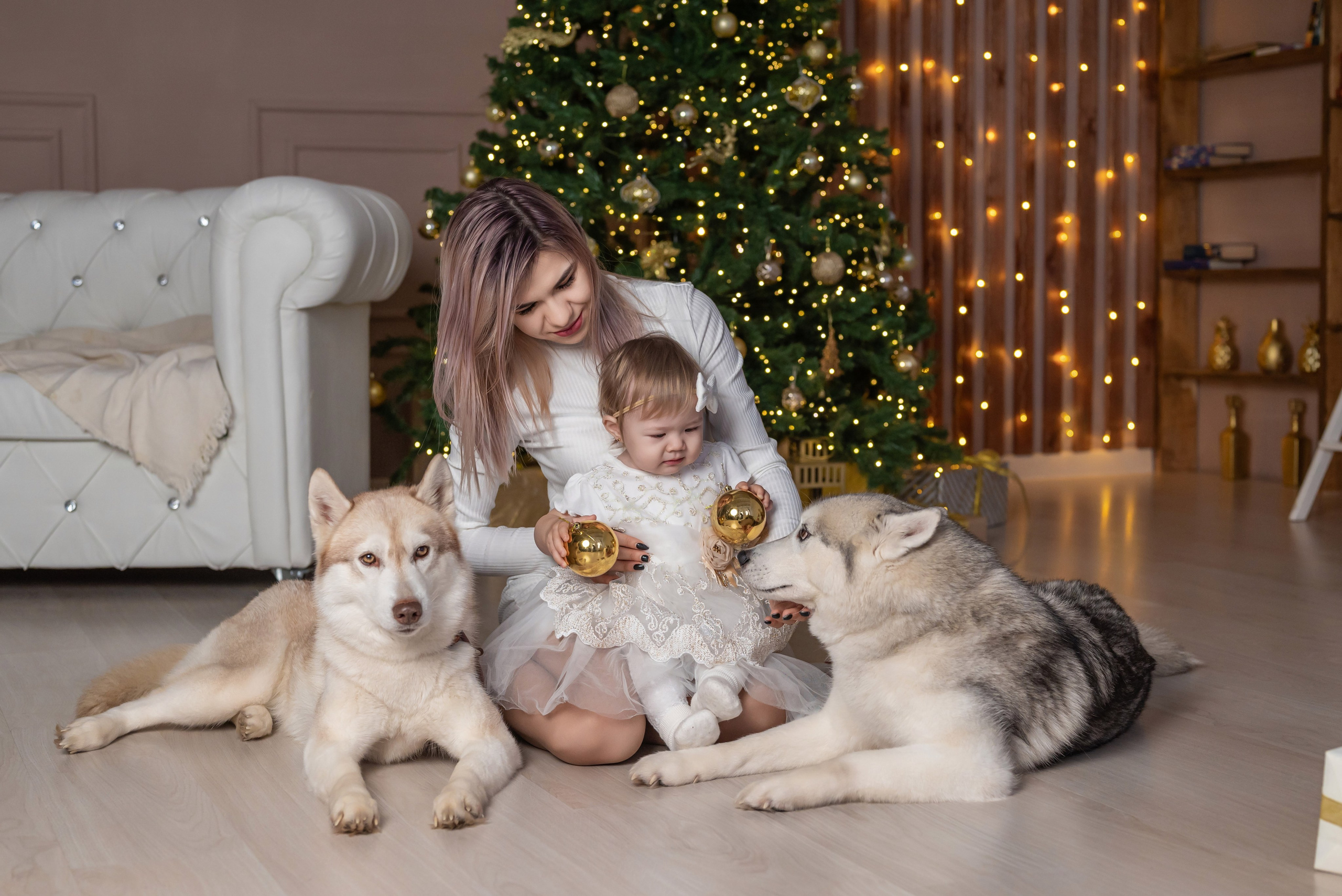 Фотопроект с хаски. Фотограф в городе Салават