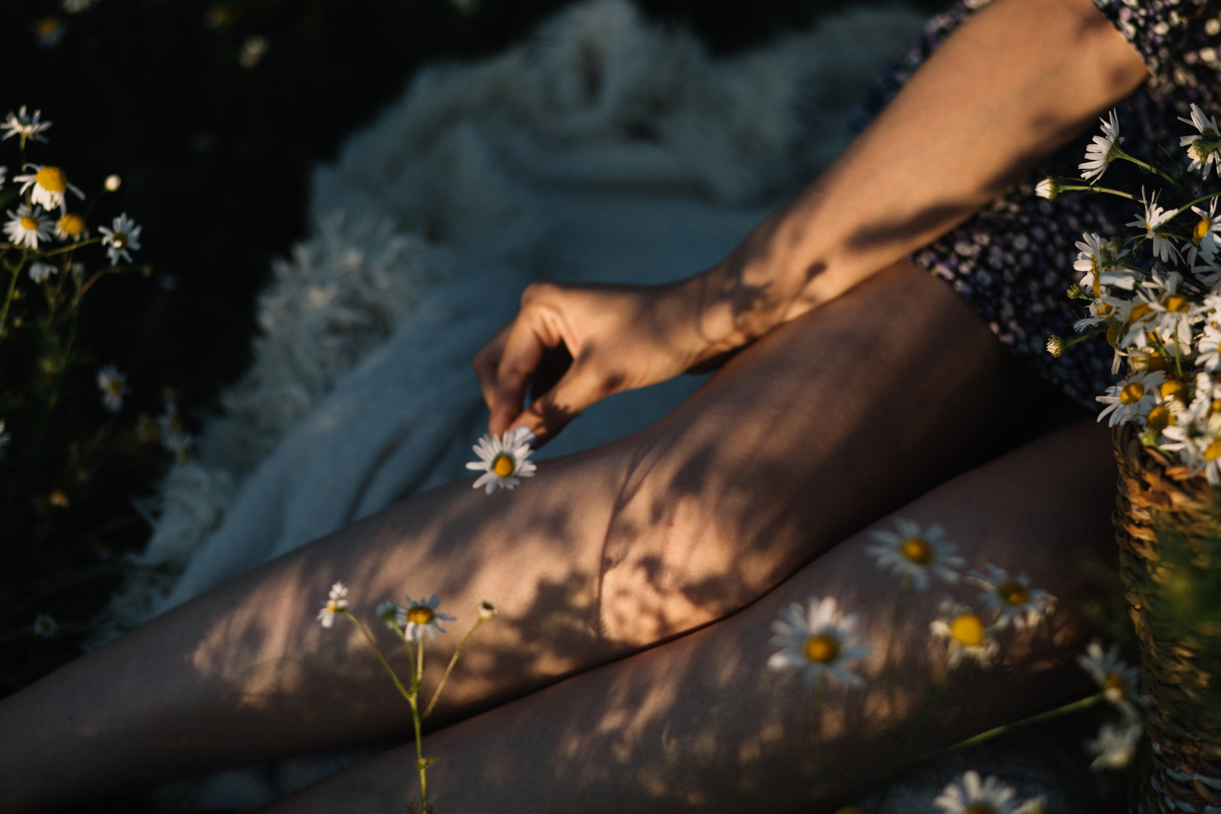 Закат. Свадебный и семейный фотограф Витебск