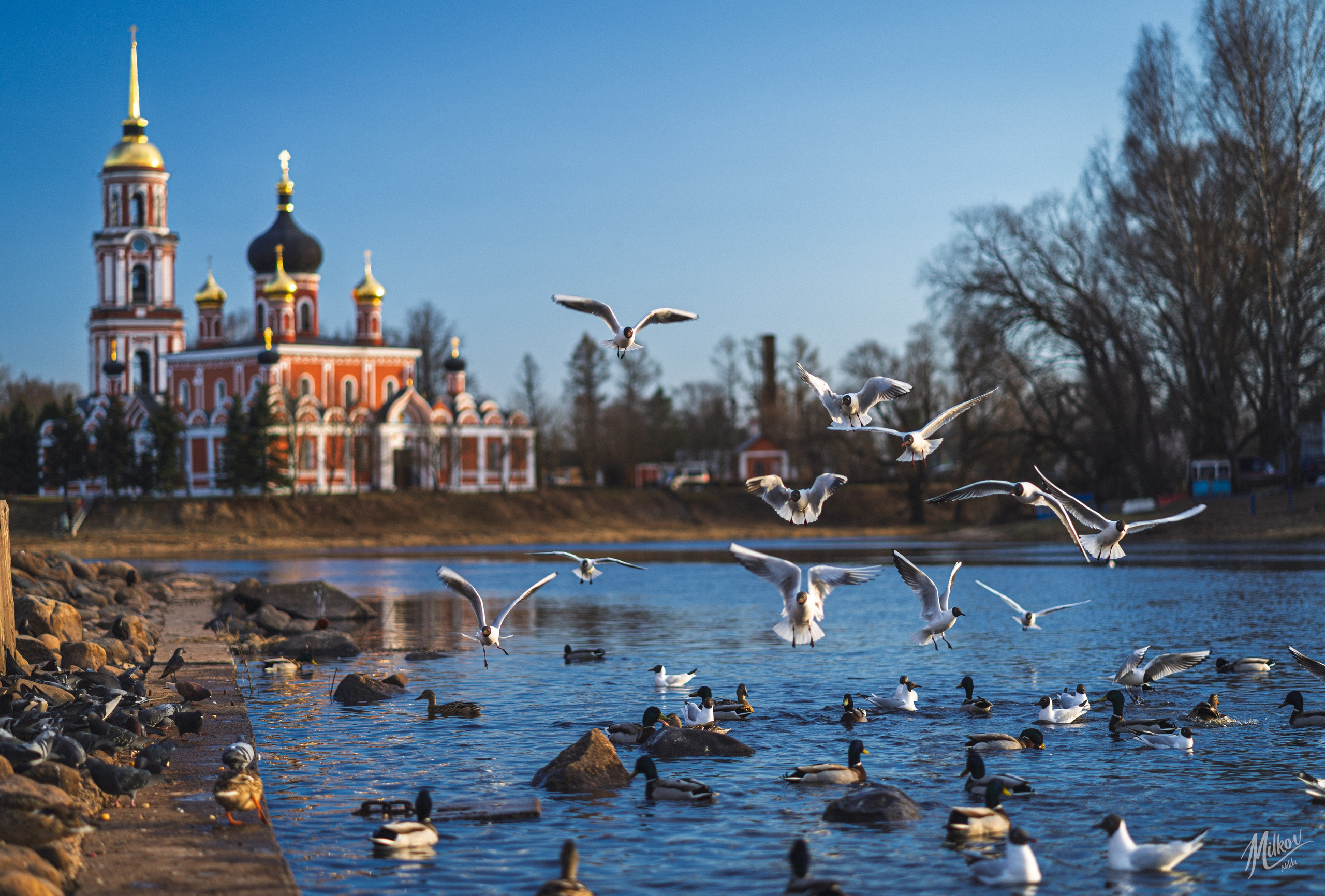 Стрит фото. Mikoff — Воспоминания и эмоции неподвластные времени