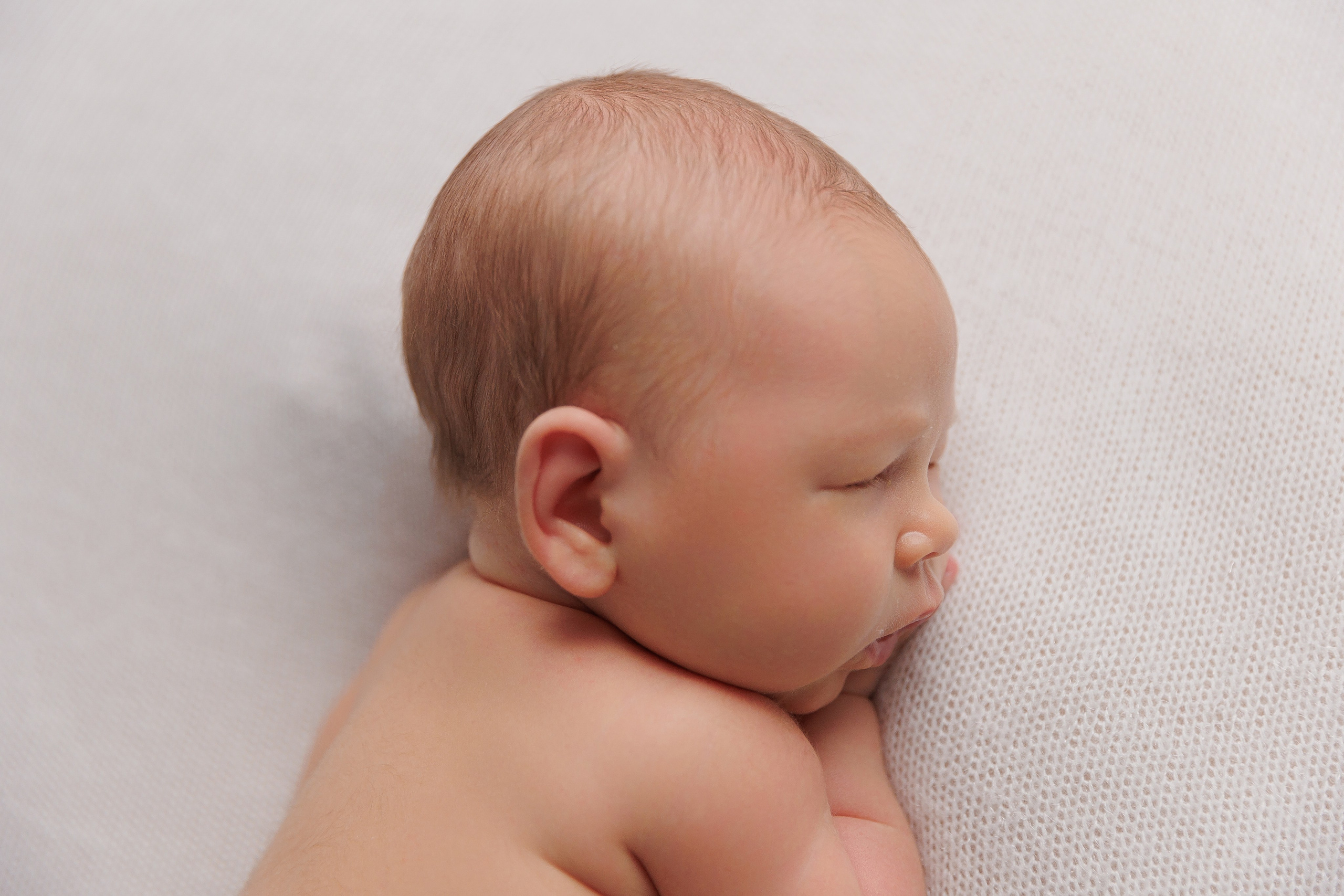 Newborn. Фотограф Лодейное Поле Екатерина Герасимова в Санкт-Петербурге и Лен. области