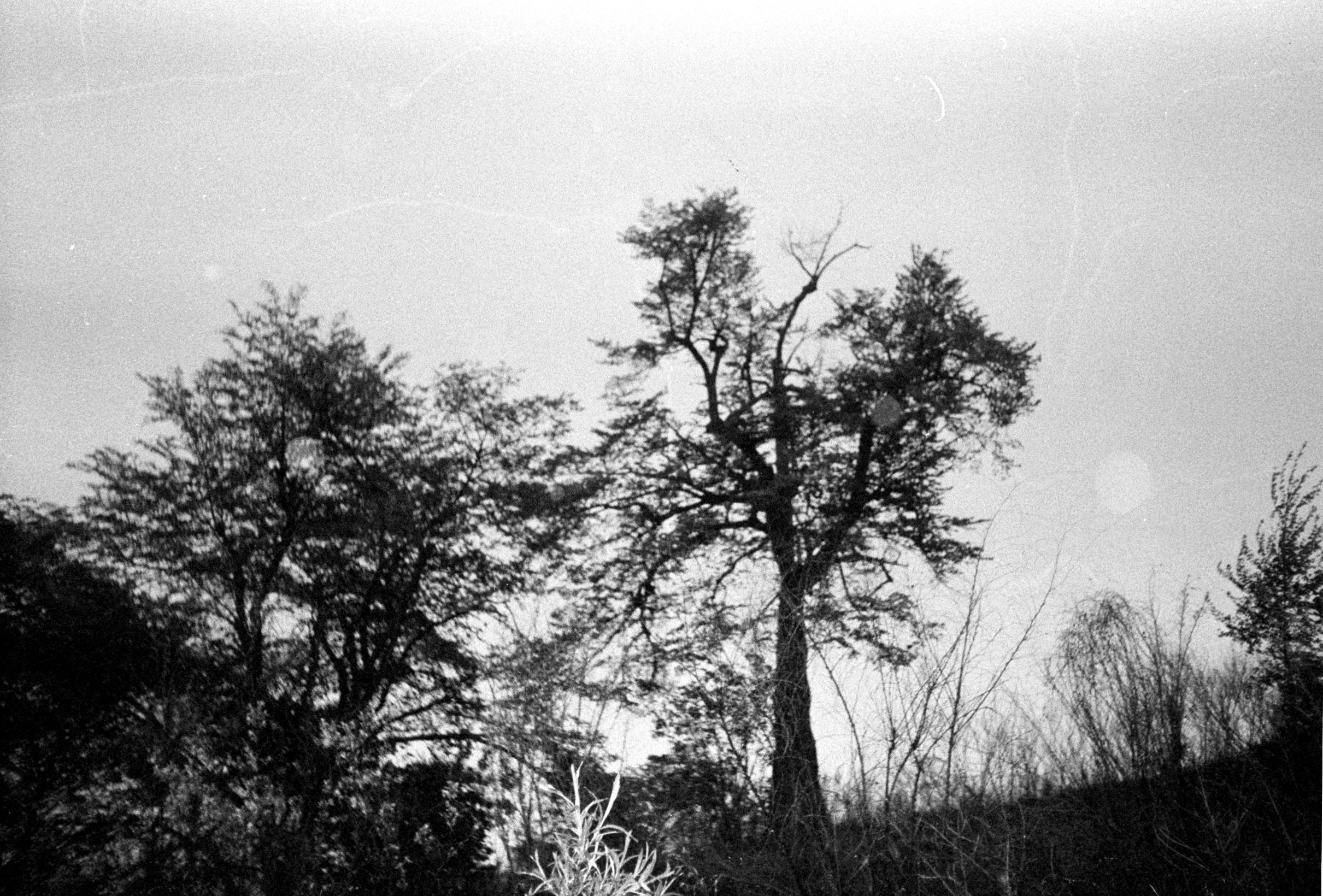 Плёнка весна-лето 2025. Ирина Чернова — портретный фотограф и маркетолог из Владивостока