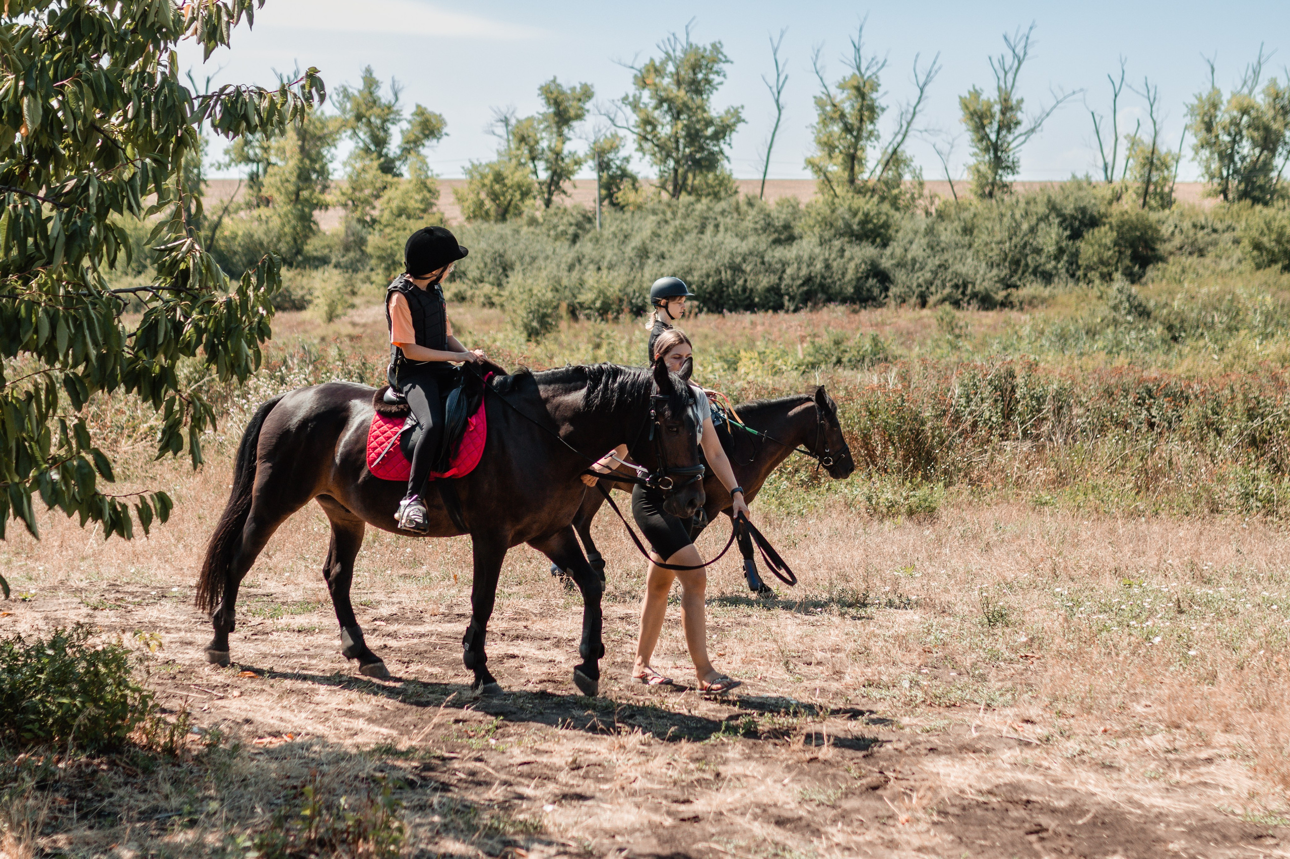 Выезды в поля на лошади