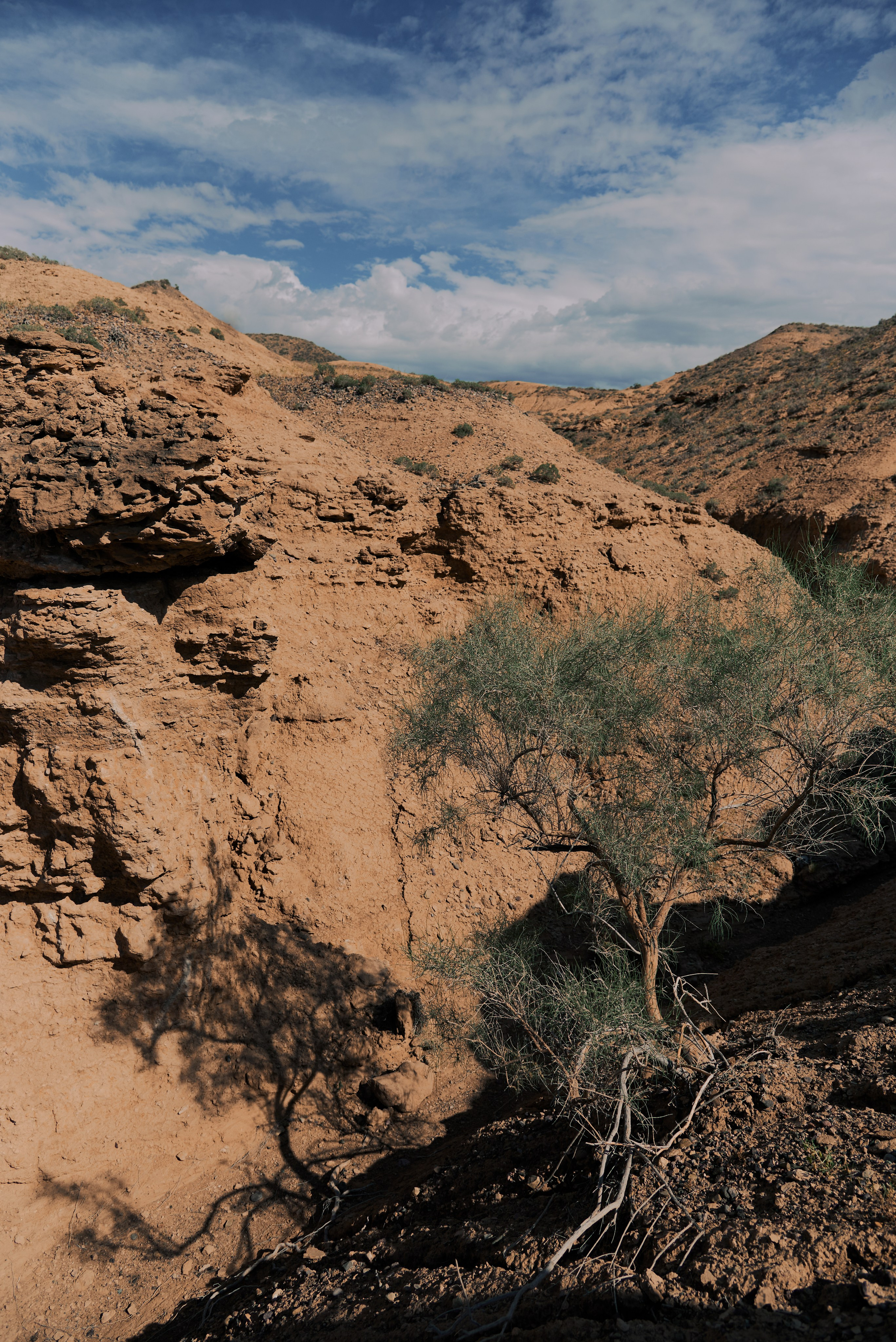 Anima. Фотограф Алматы Ольга Photodooshy