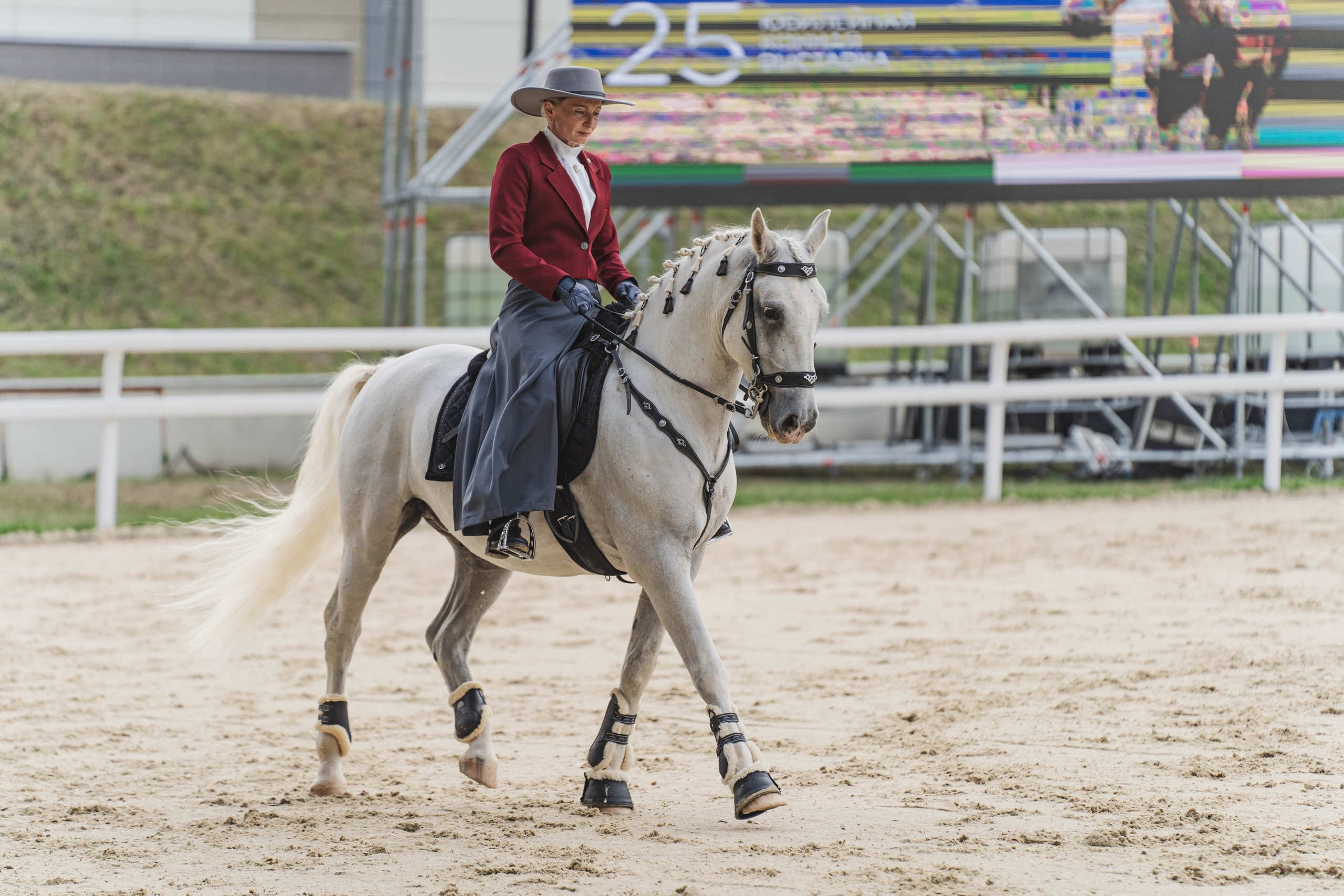 Мастер-класс по рабочей выездке. Фотограф в Москве Ленарская Дарья