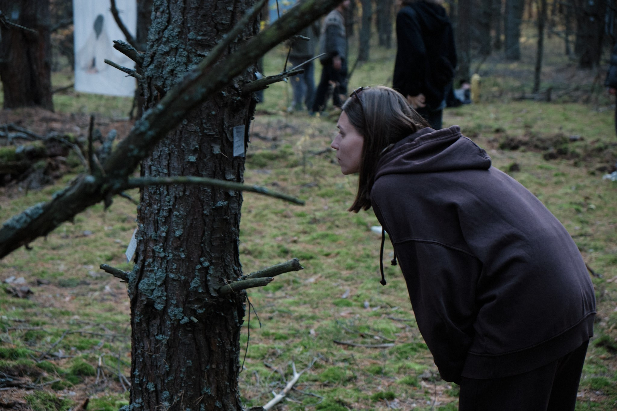 Я приношу к себе лес я себя приношу в лес. Алиса Косарева