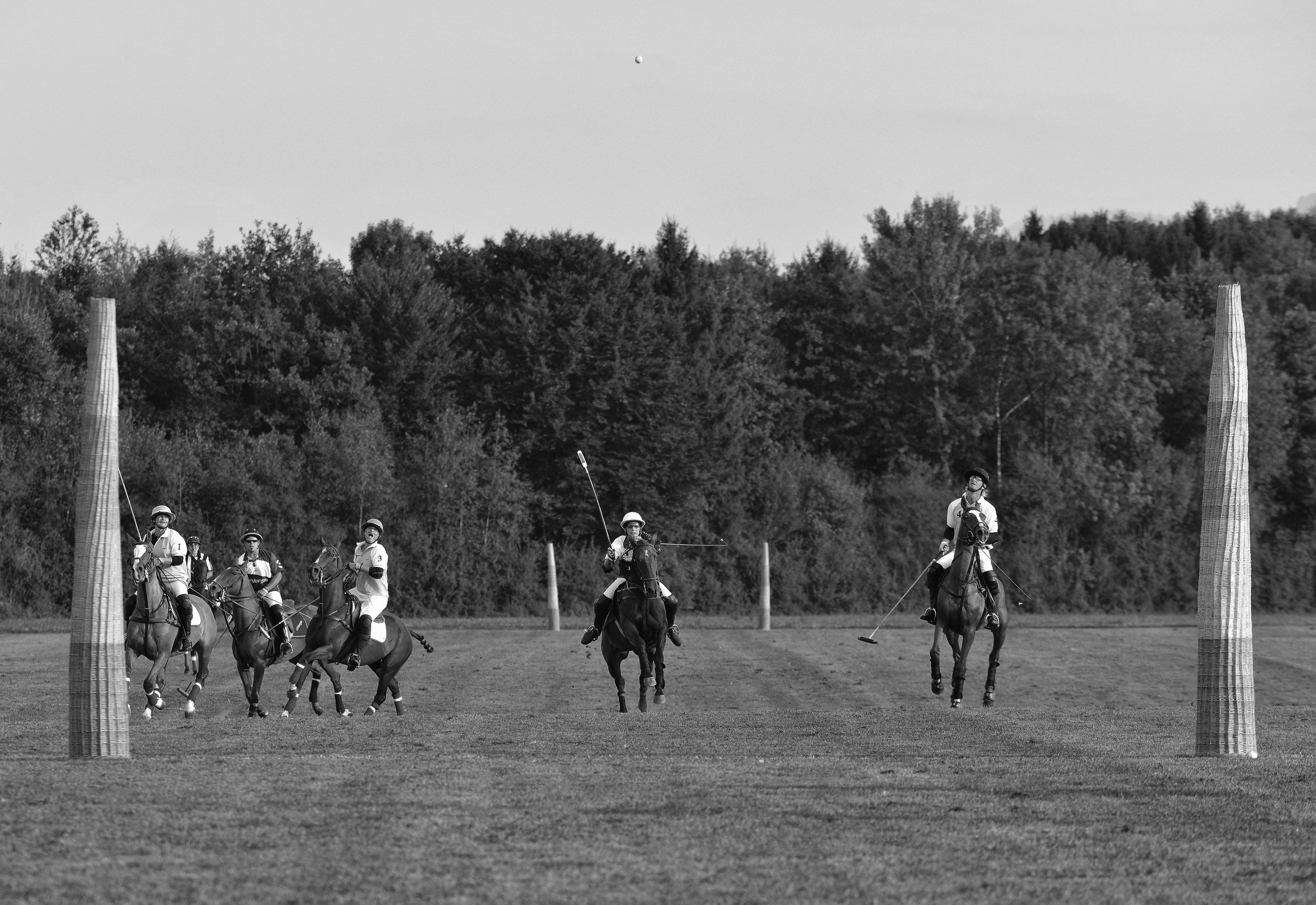 Polo art photos. Art photos of horses — ARTUR BABOEV | Photographer