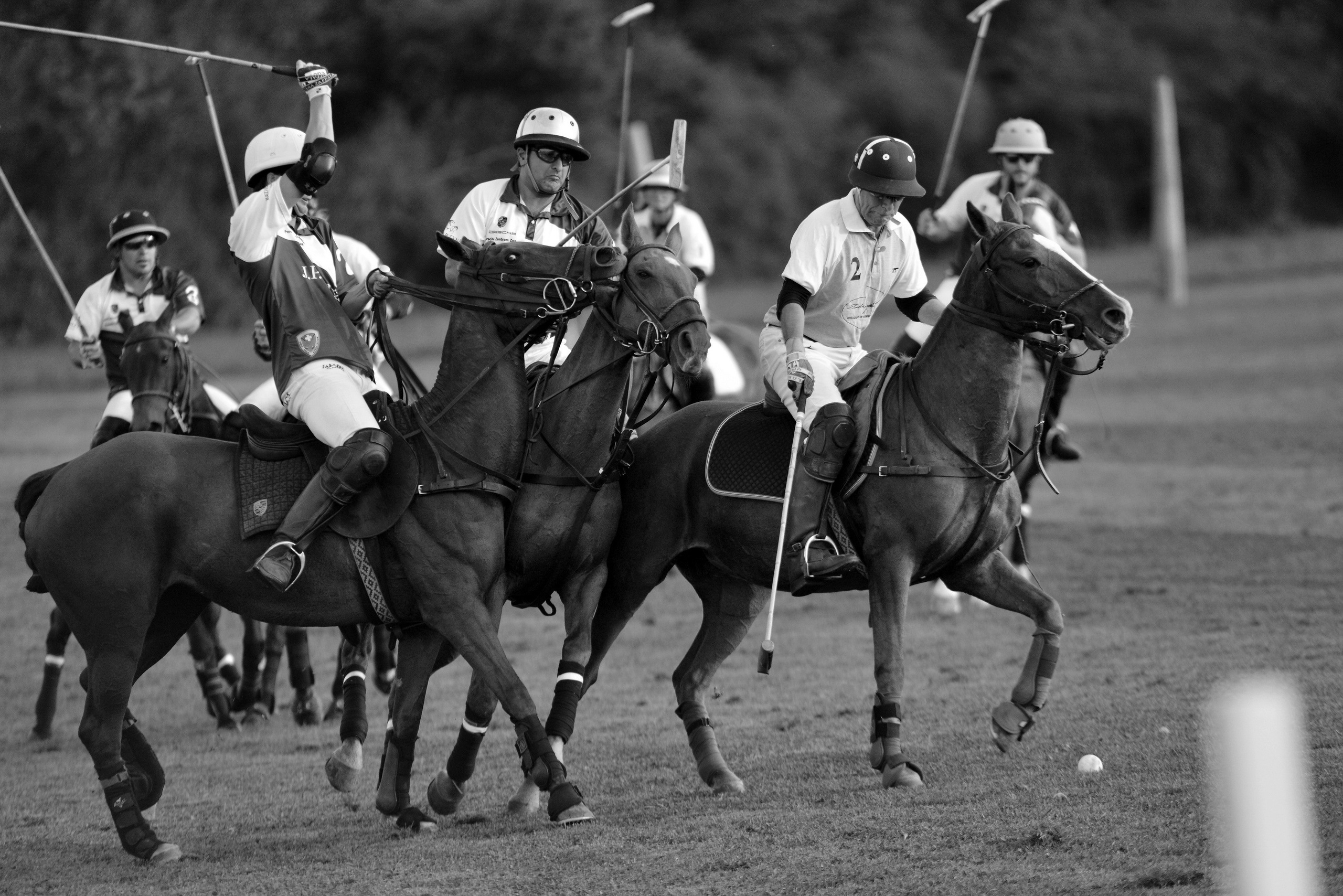 Polo art photos. Art photos of horses — ARTUR BABOEV | Photographer