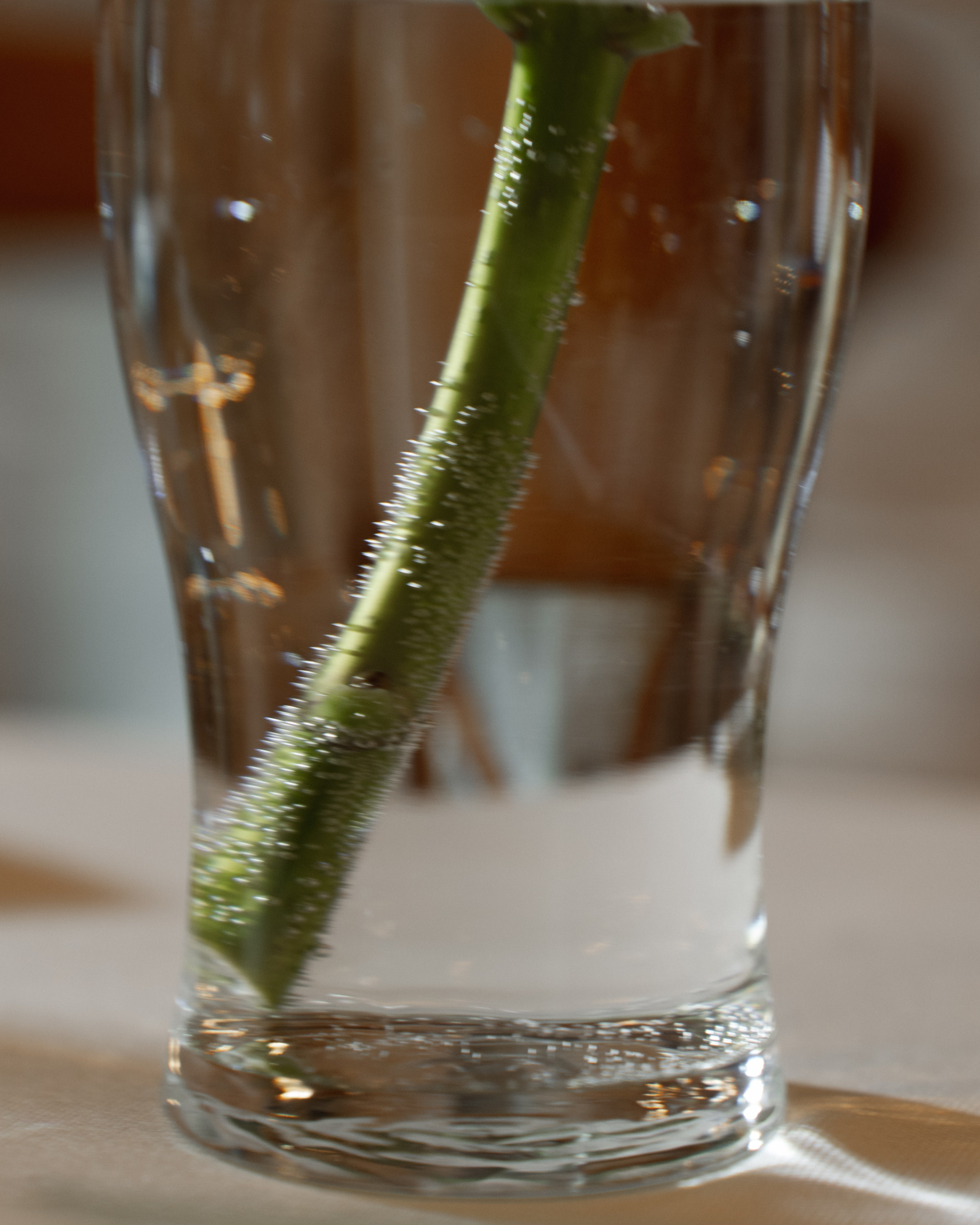 Наталия и Николай. Фотограф Олеся Скворцова