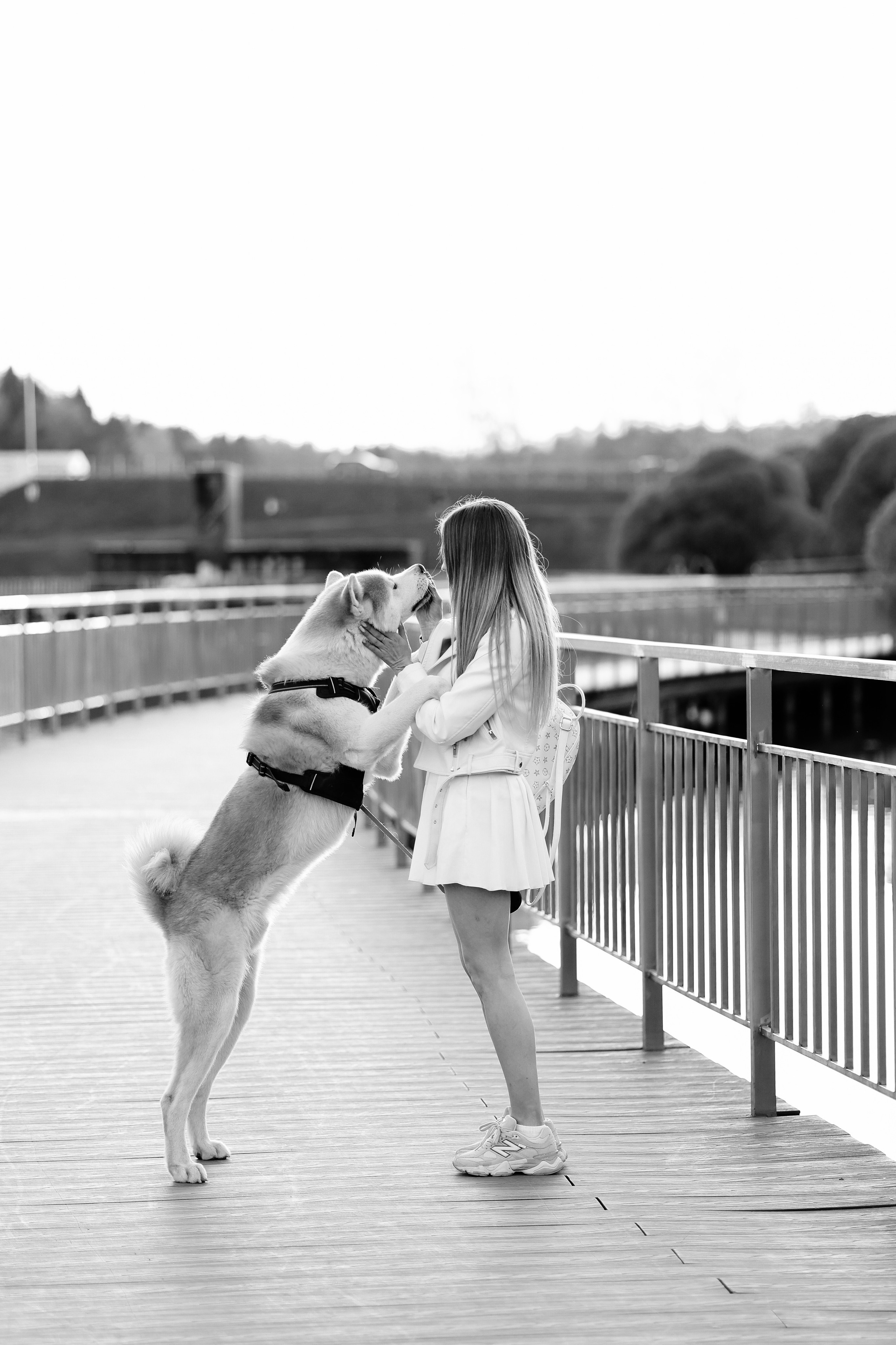 Lifestyle with Dog. Фотограф Юлия Говор