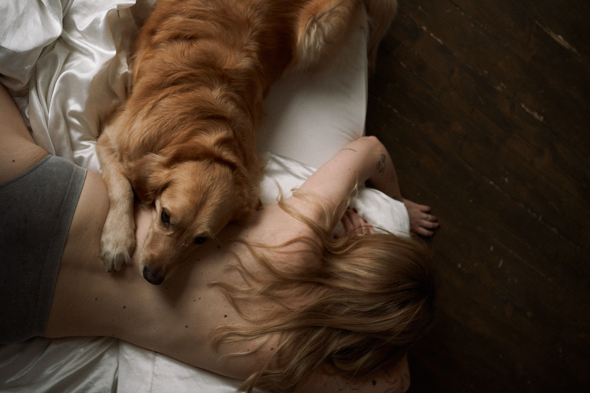 Алия и Пенни. Фотограф анималист Москва Дарья