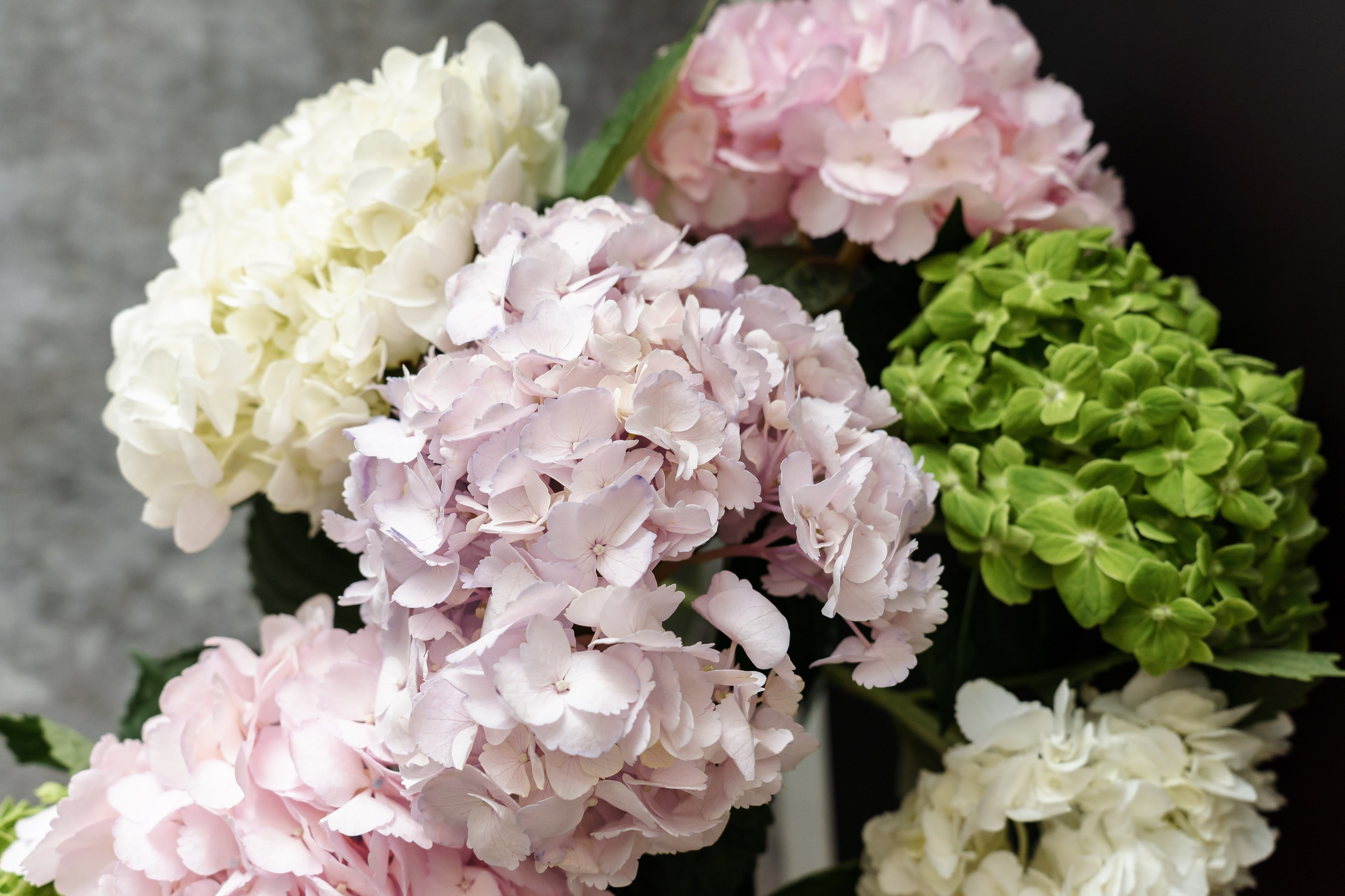 Настя и Дима | 20.07.2023. Свадебный фотограф в Москве Яна Деньгина